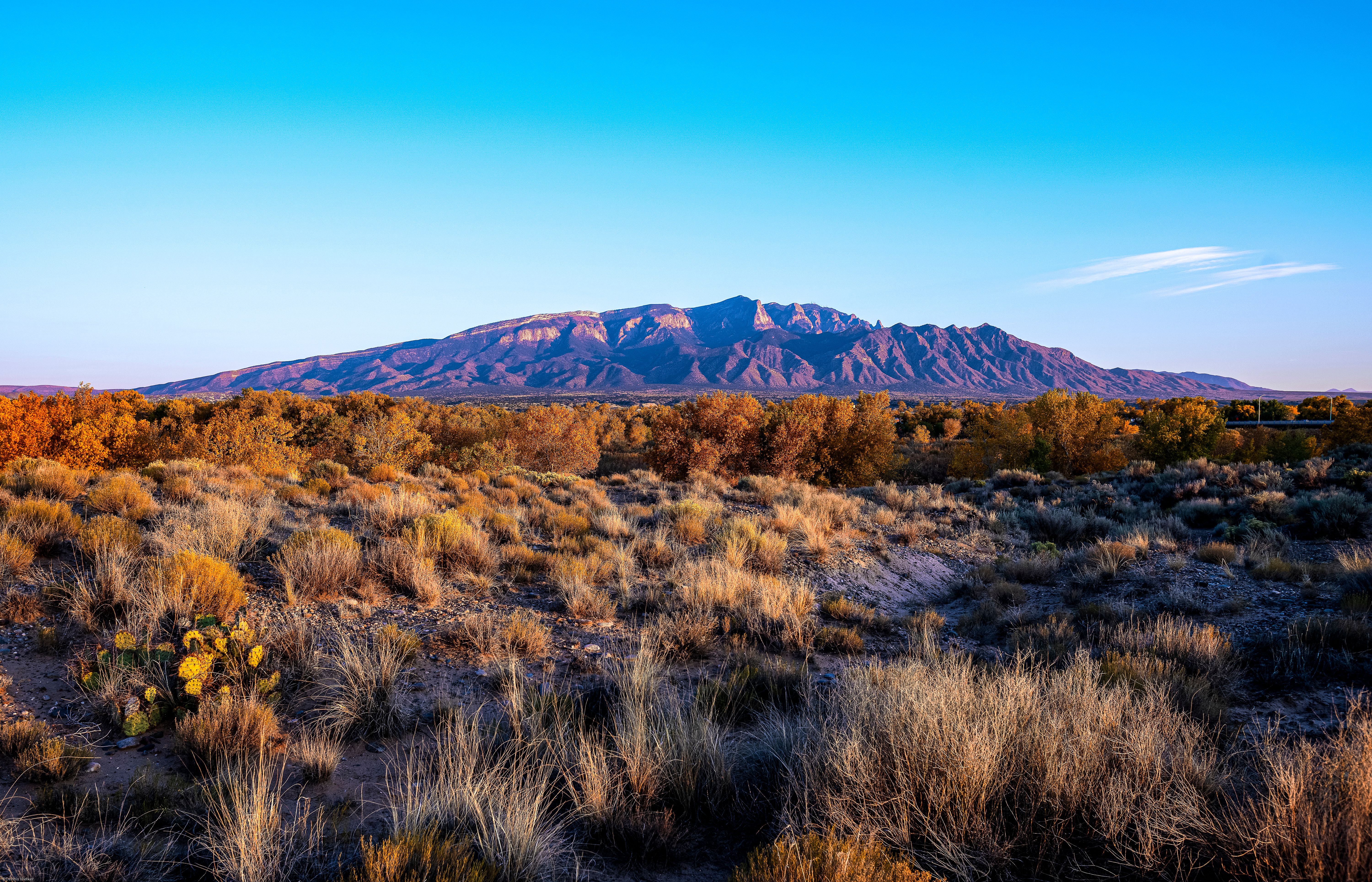 albuquerque desert climate