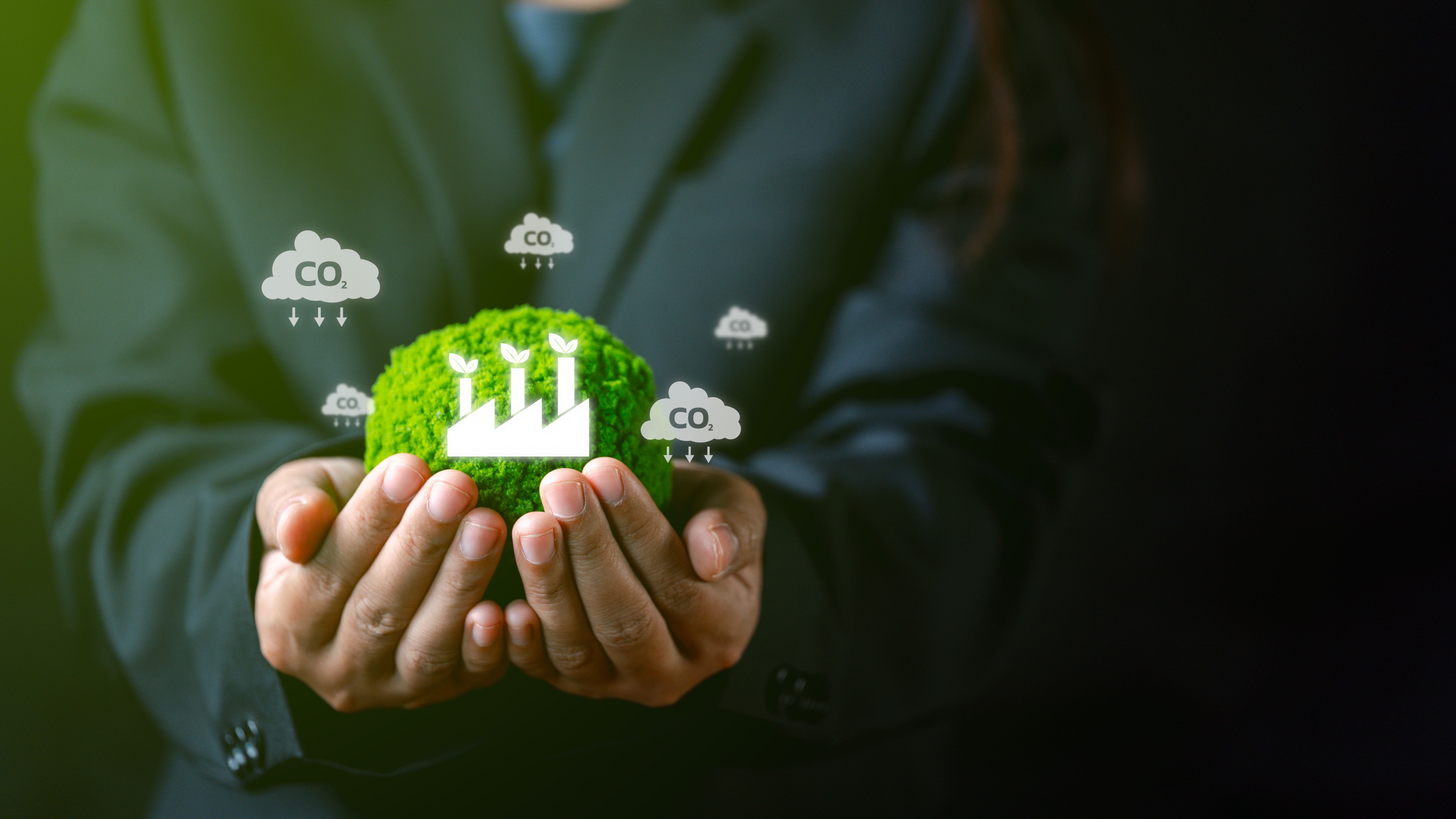 environmental stewardship