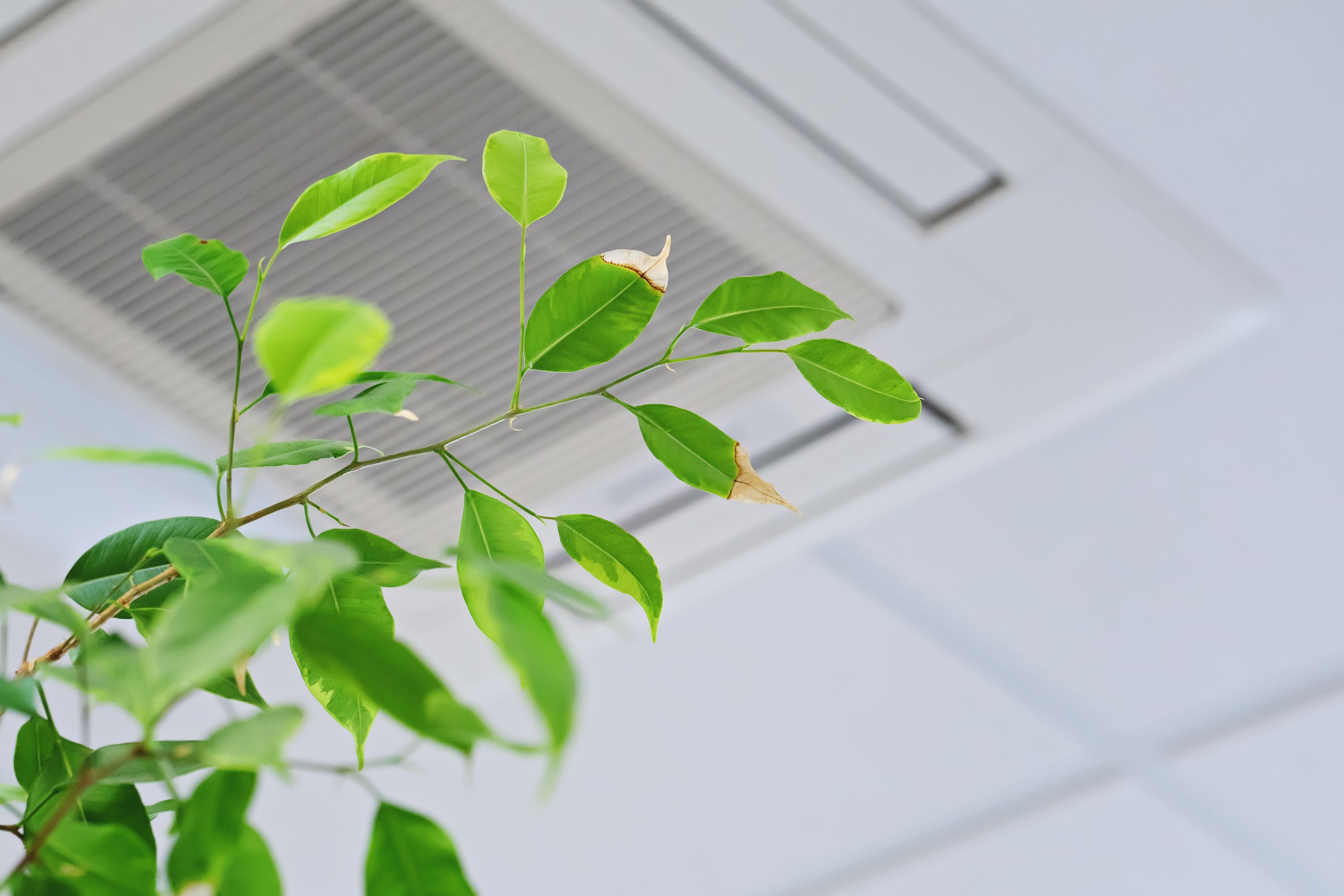 air quality HVAC