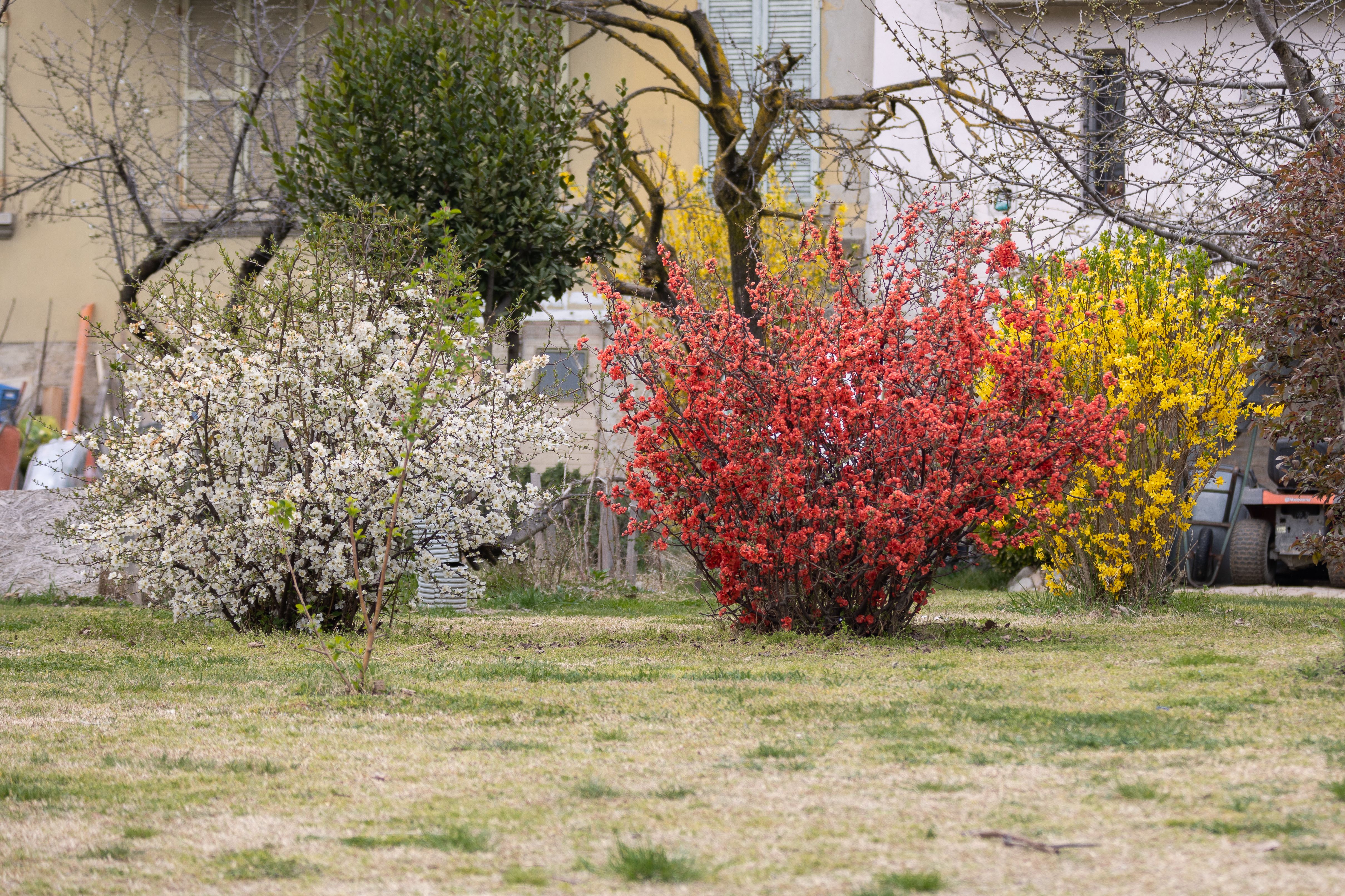 giardino primaverile