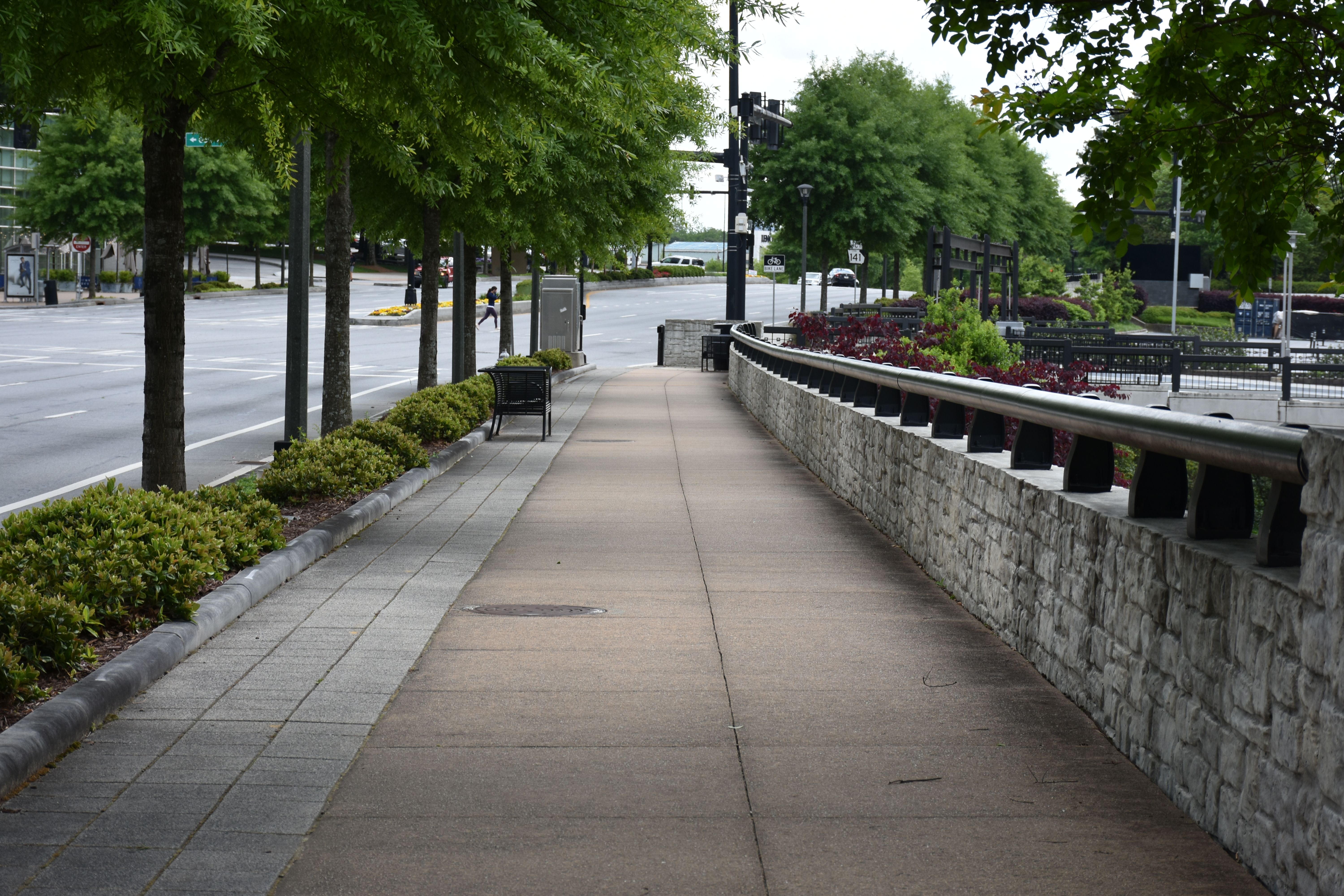 dog walking buckhead