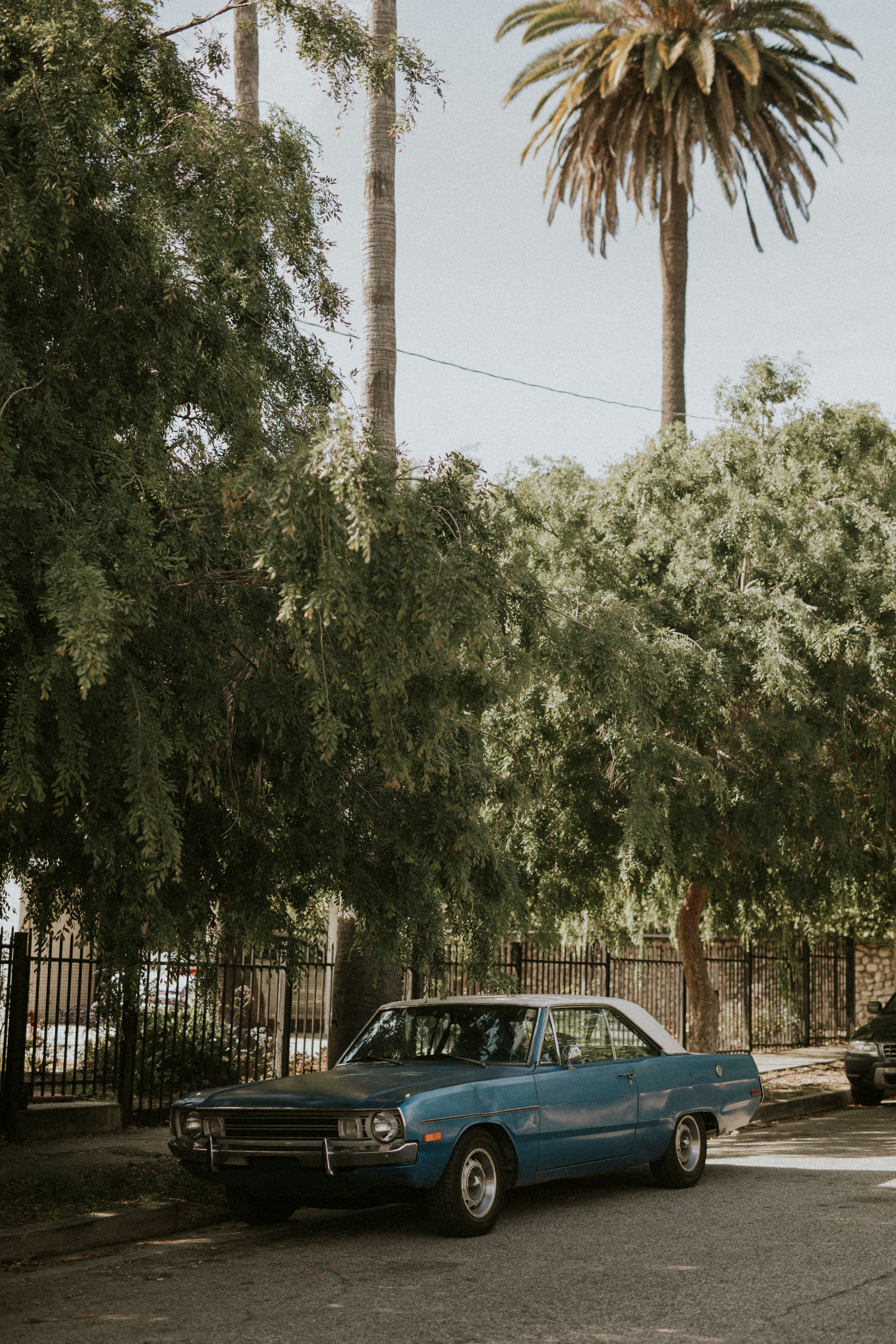 classic mustang los angeles