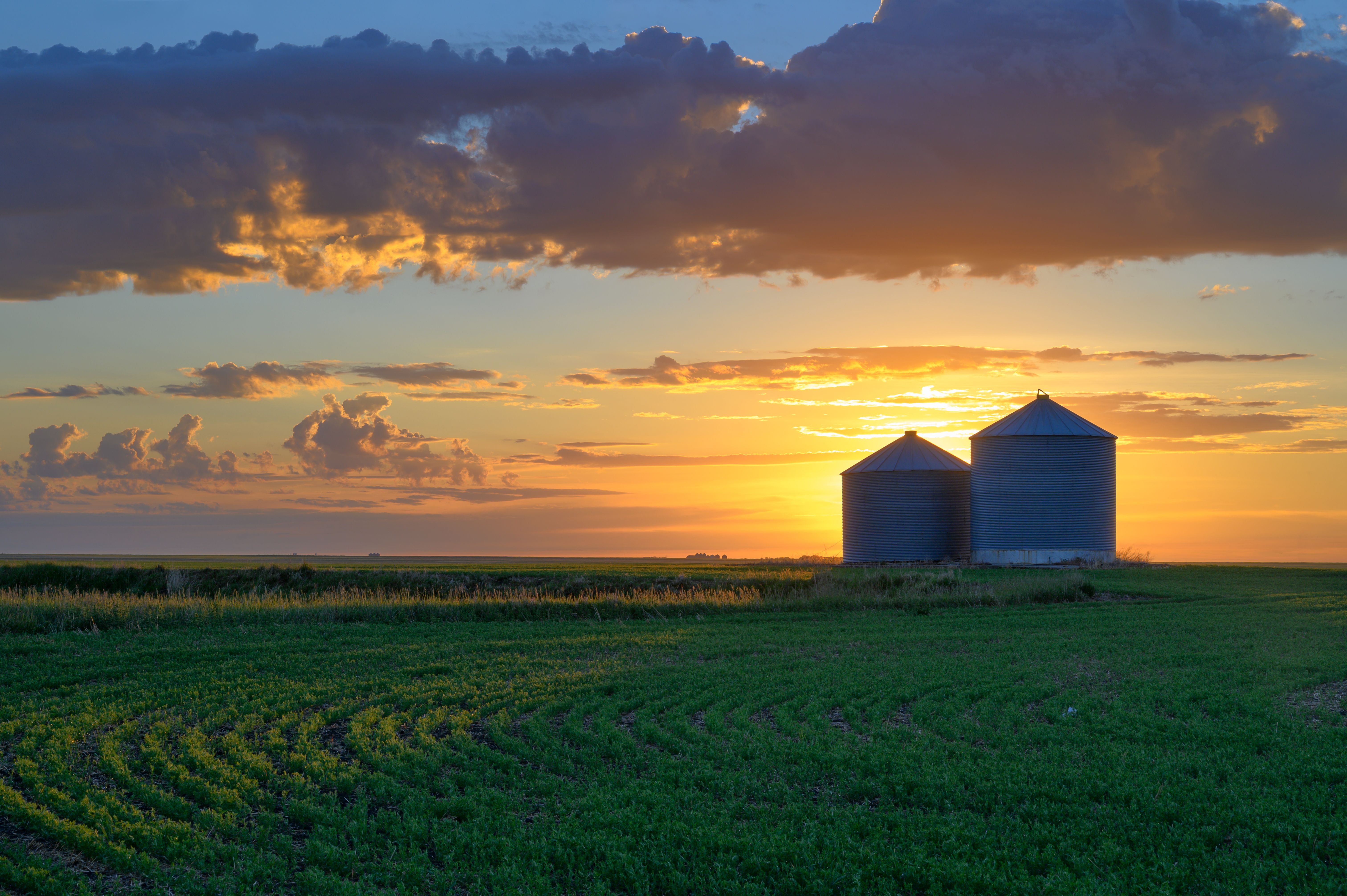 farmland sunrise