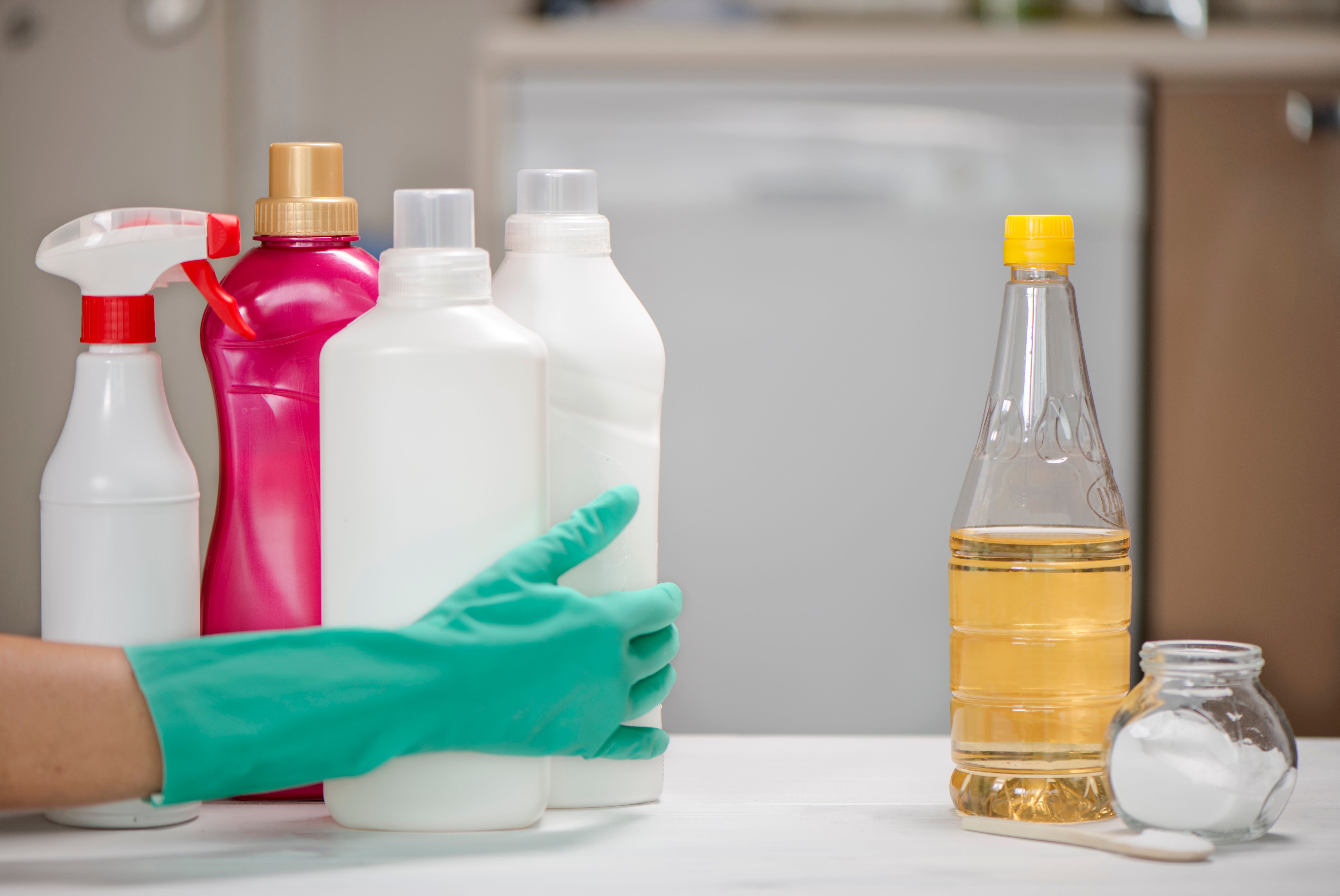 eco-friendly products