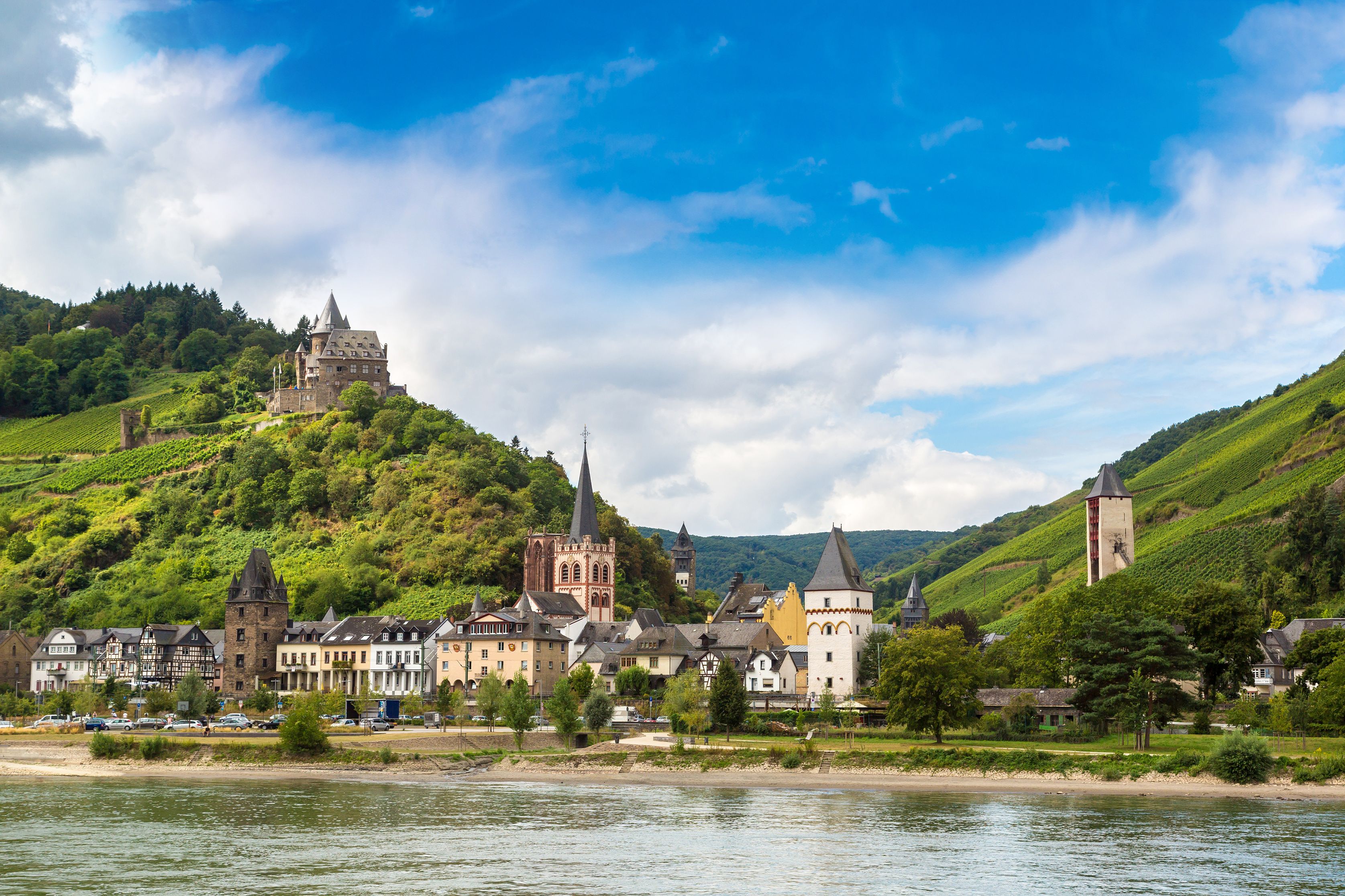 Rhine river cruise