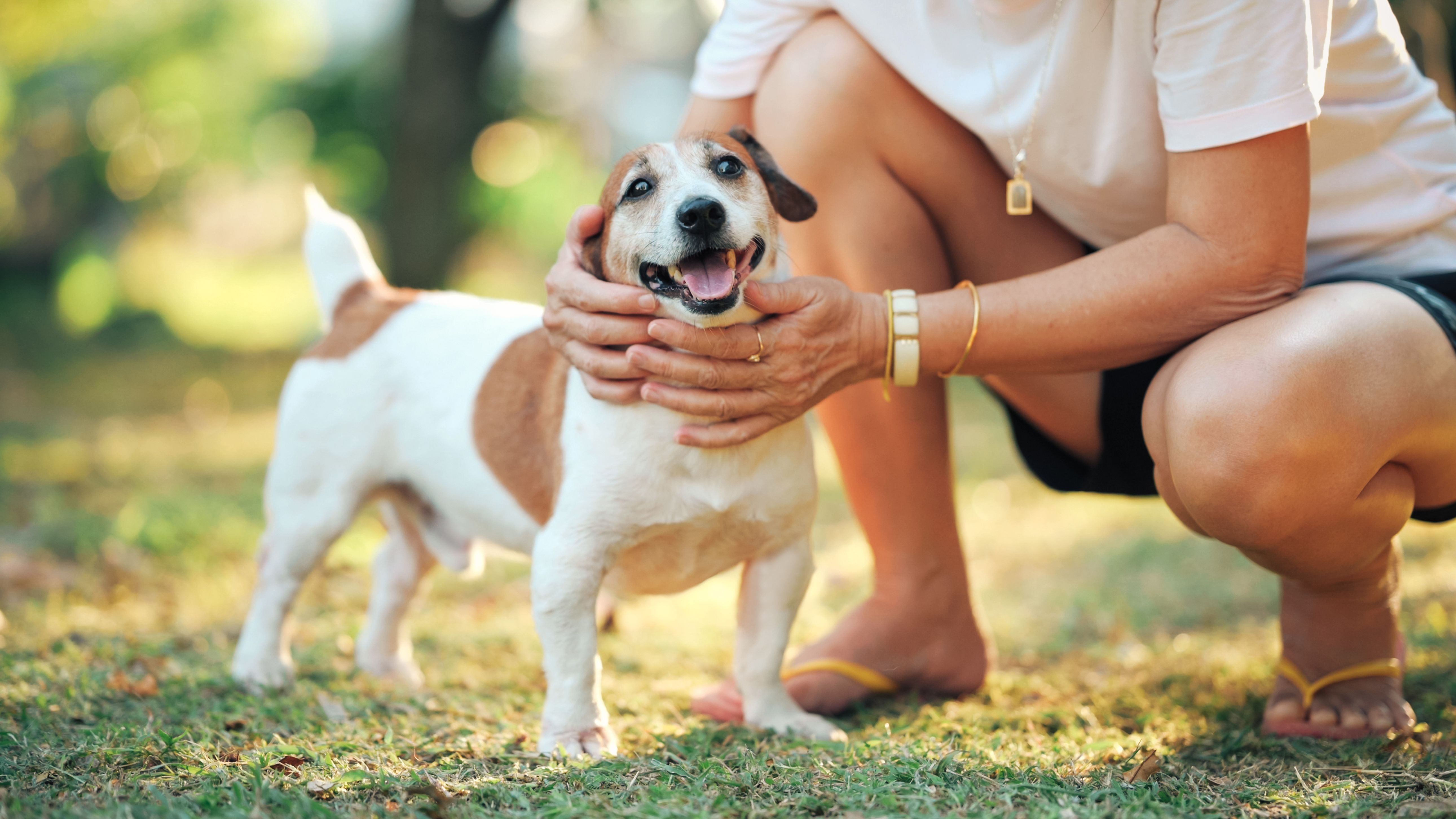 woman bonding with her dog outdoors showing emotional pet connection, trust, and positive dog interaction