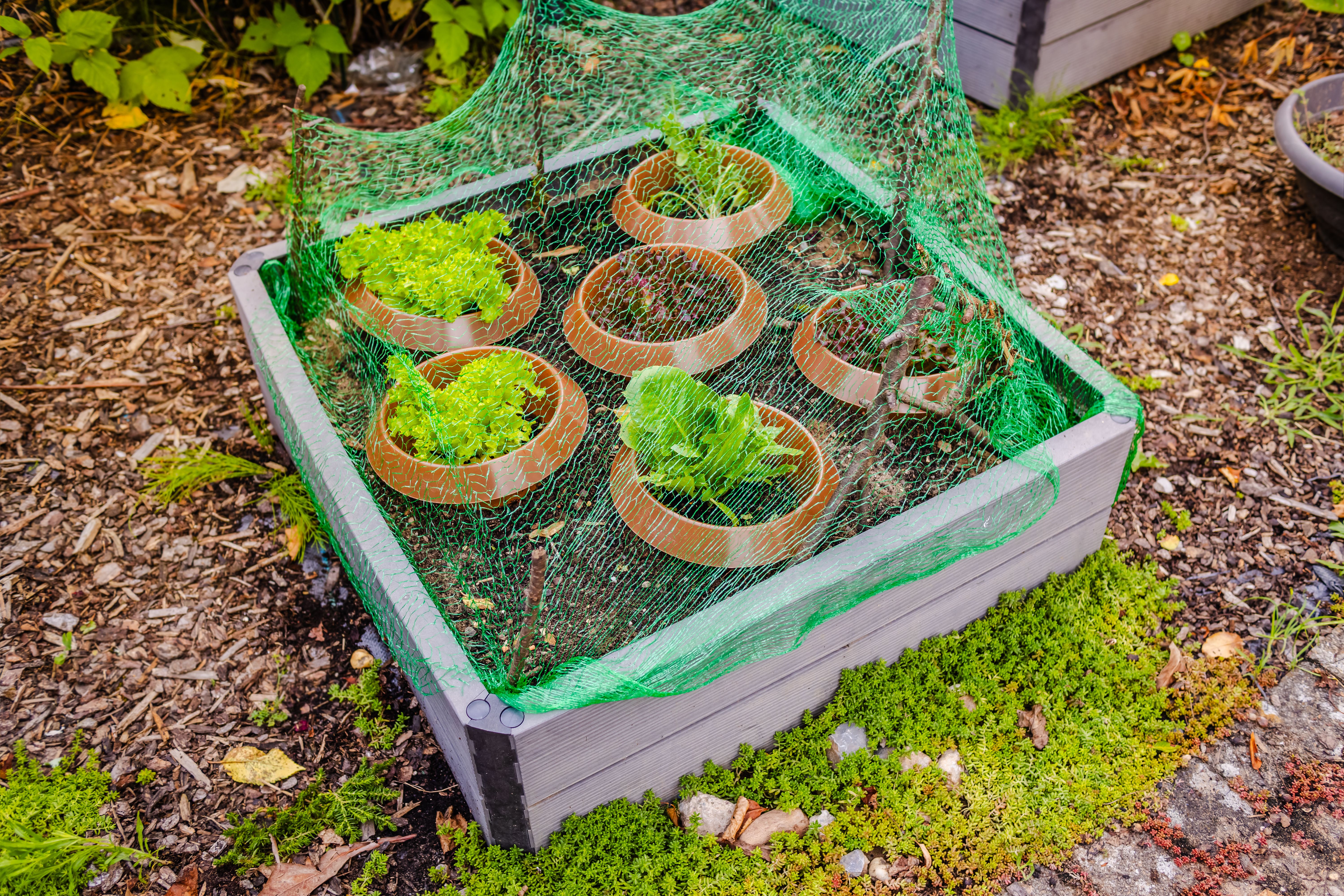garden kit