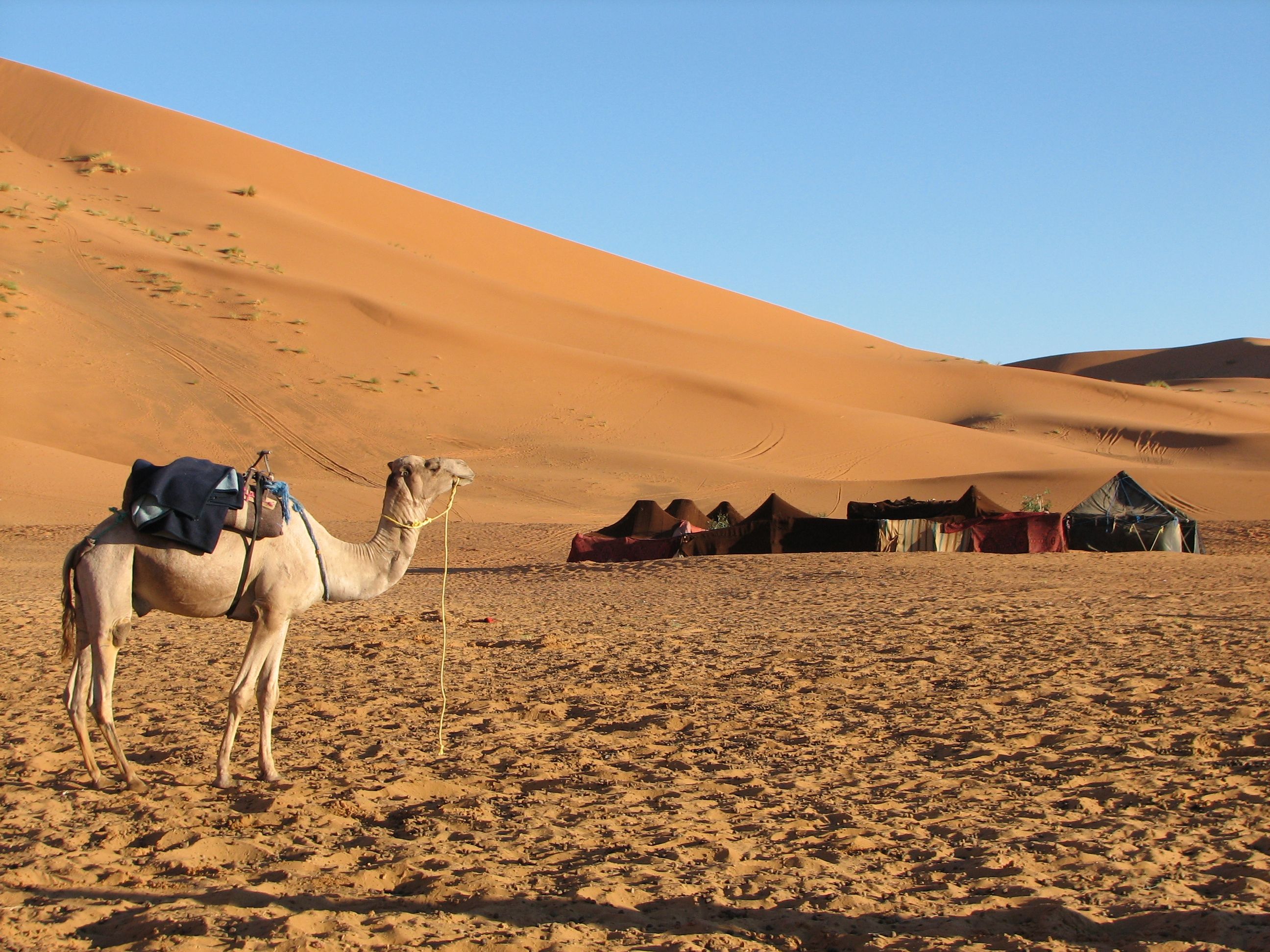 bedouin camp