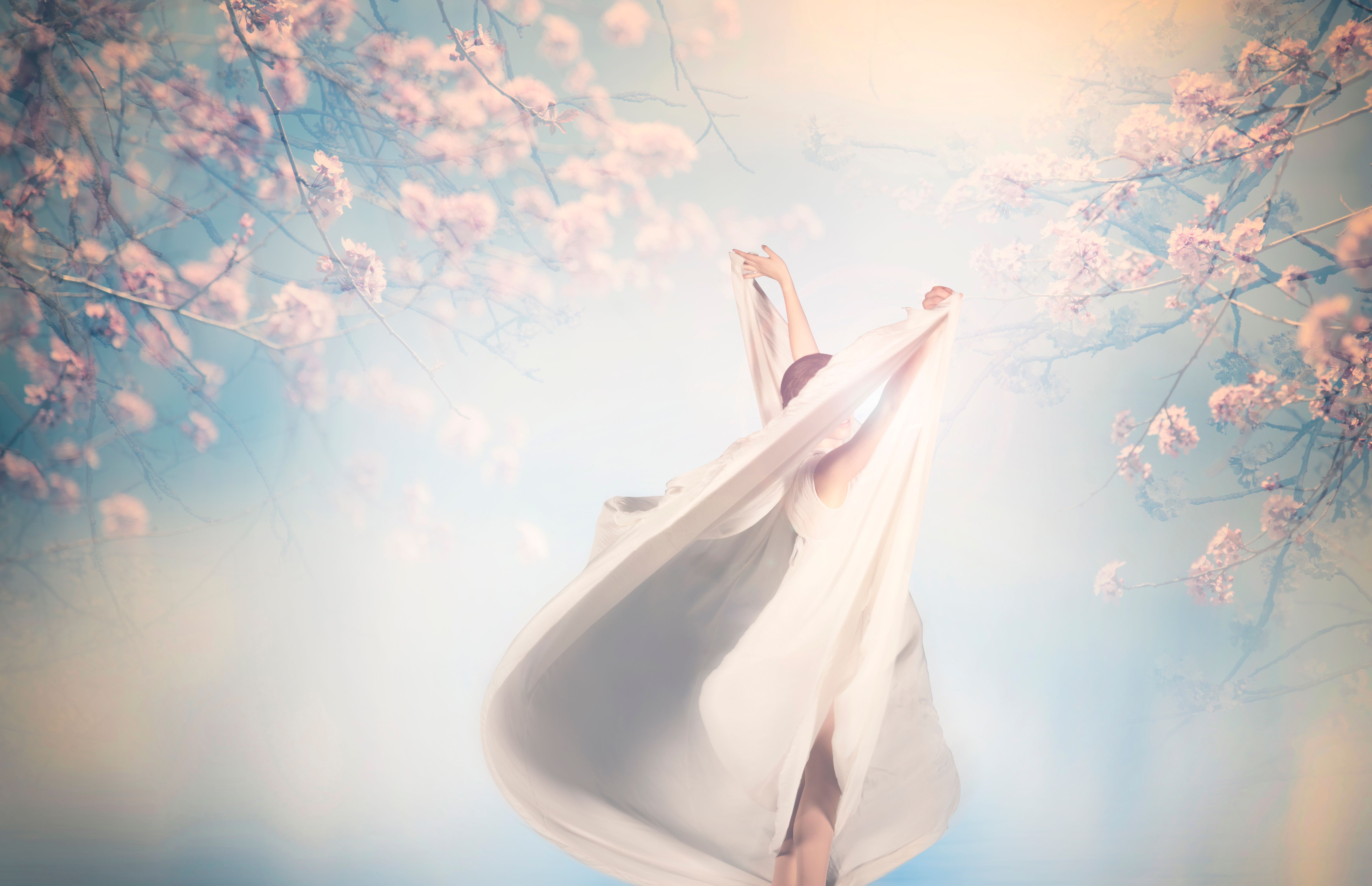 Female ballet dancer dancing between blooming cherry trees
