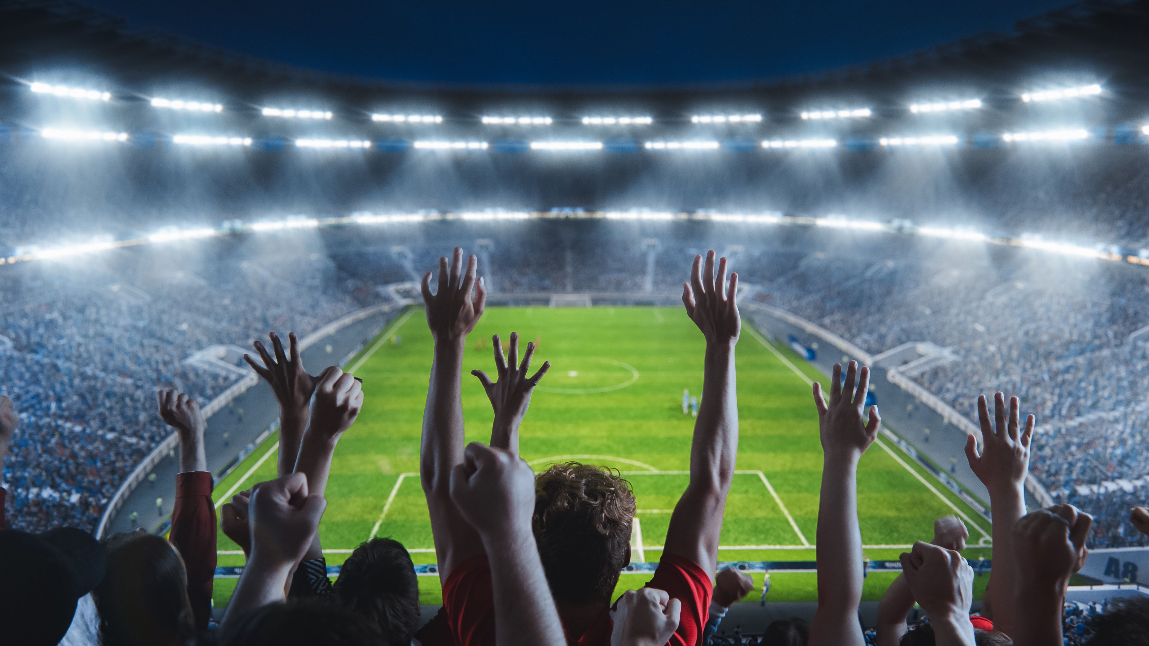 football fans