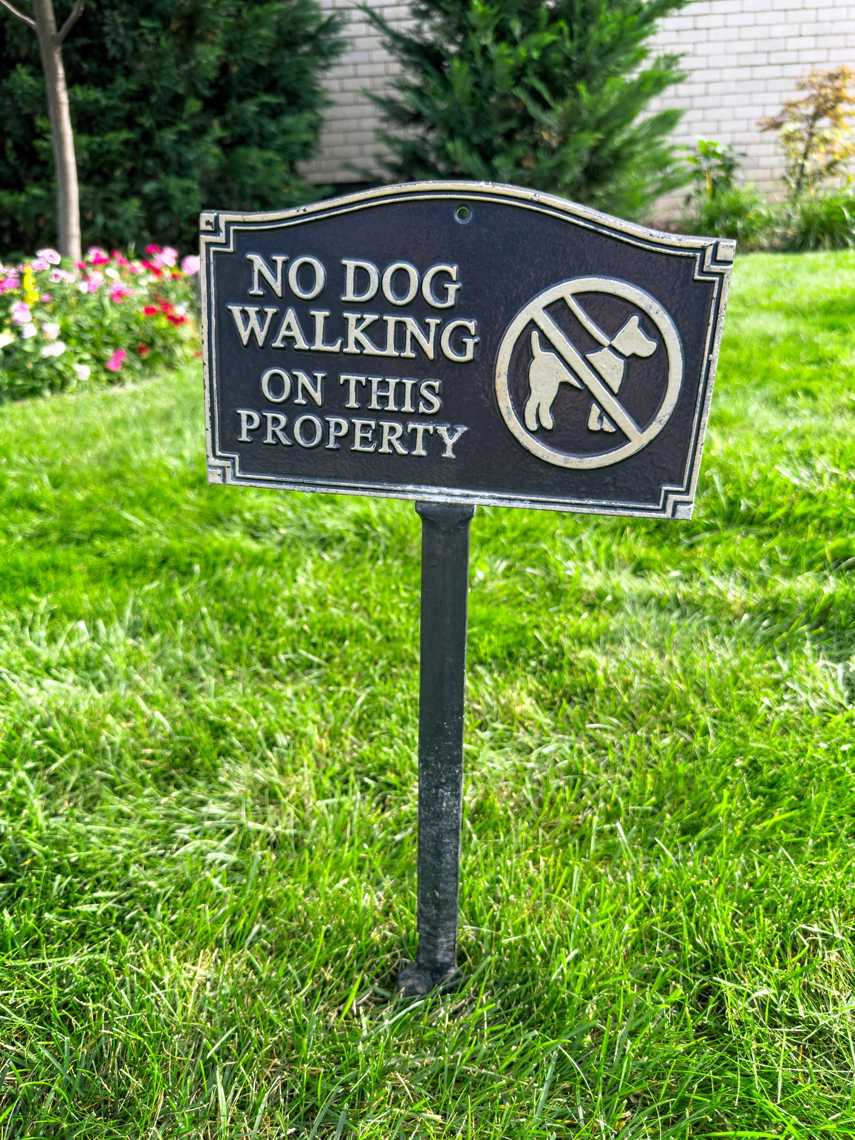 dog walking tips