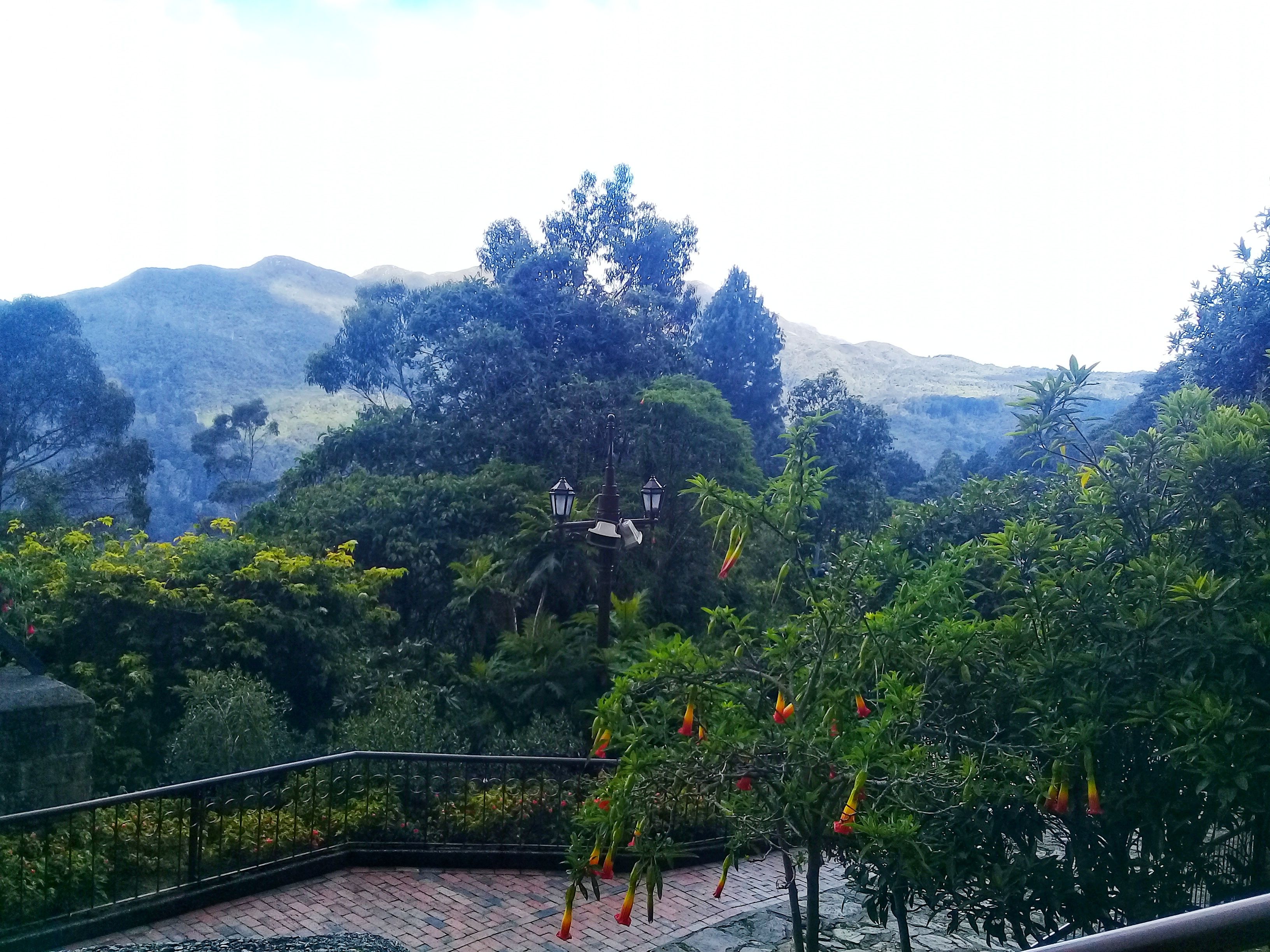 relajación naturaleza Colombia