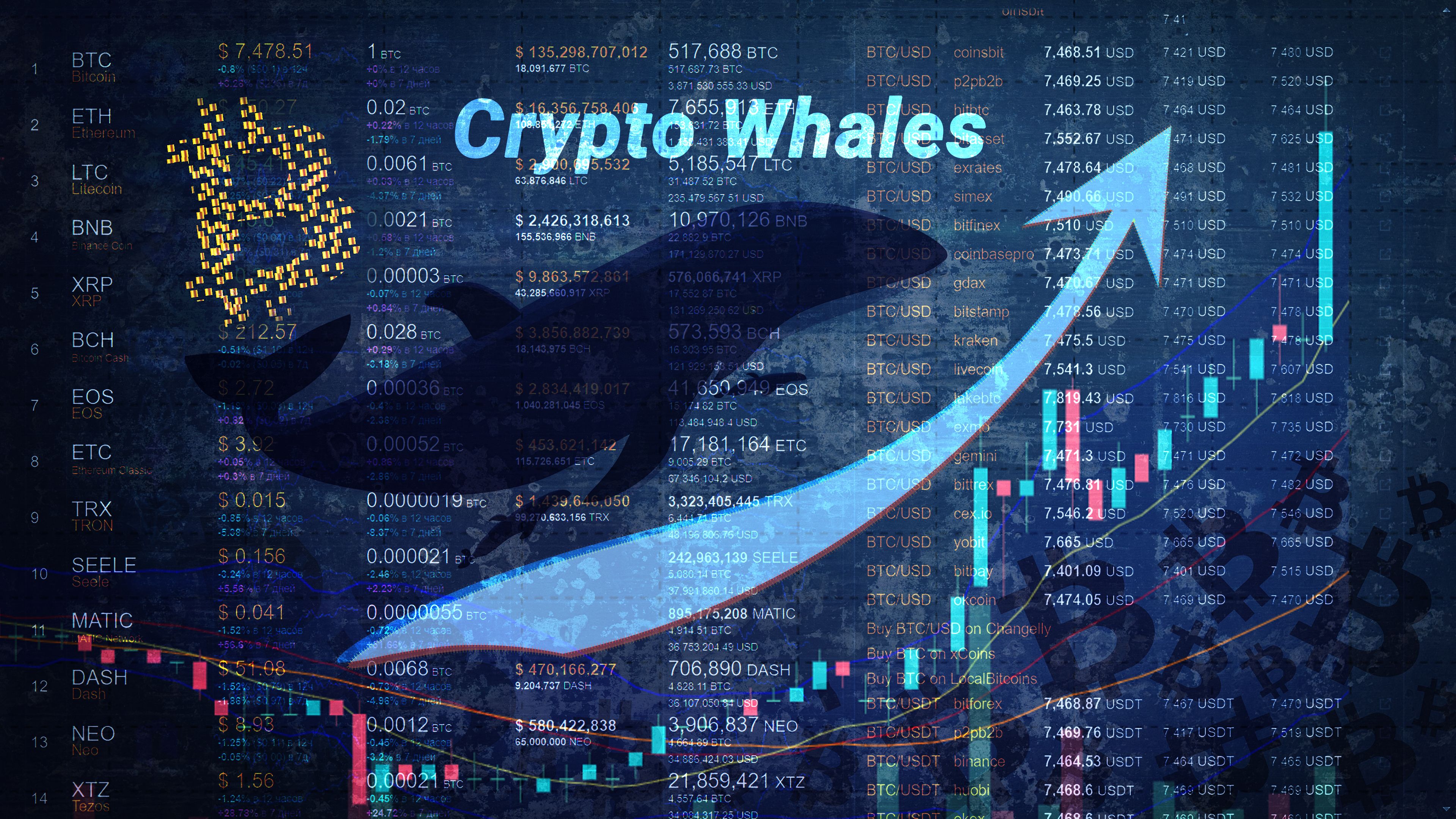 bitcoin whale