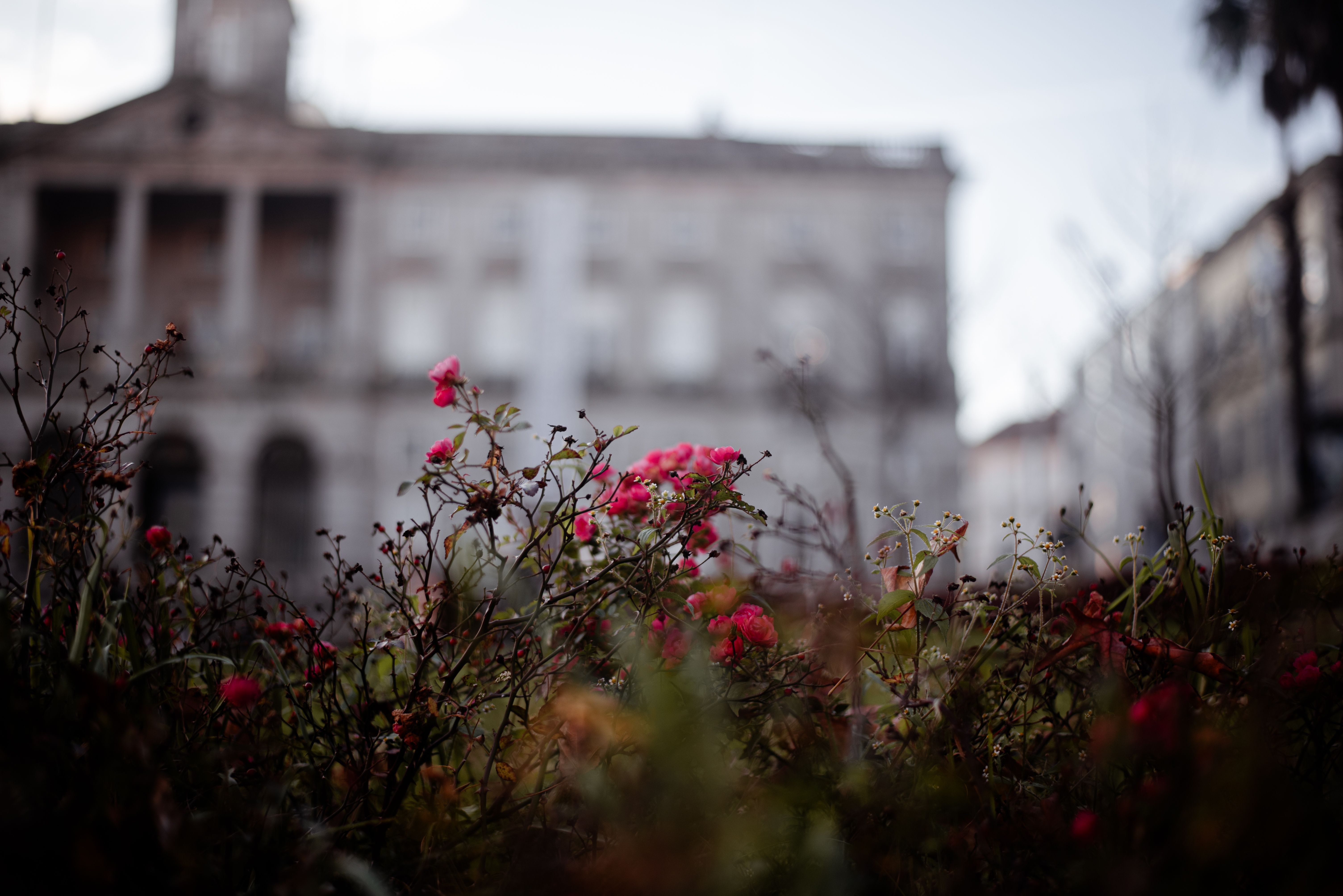 porto palacio da bolsa