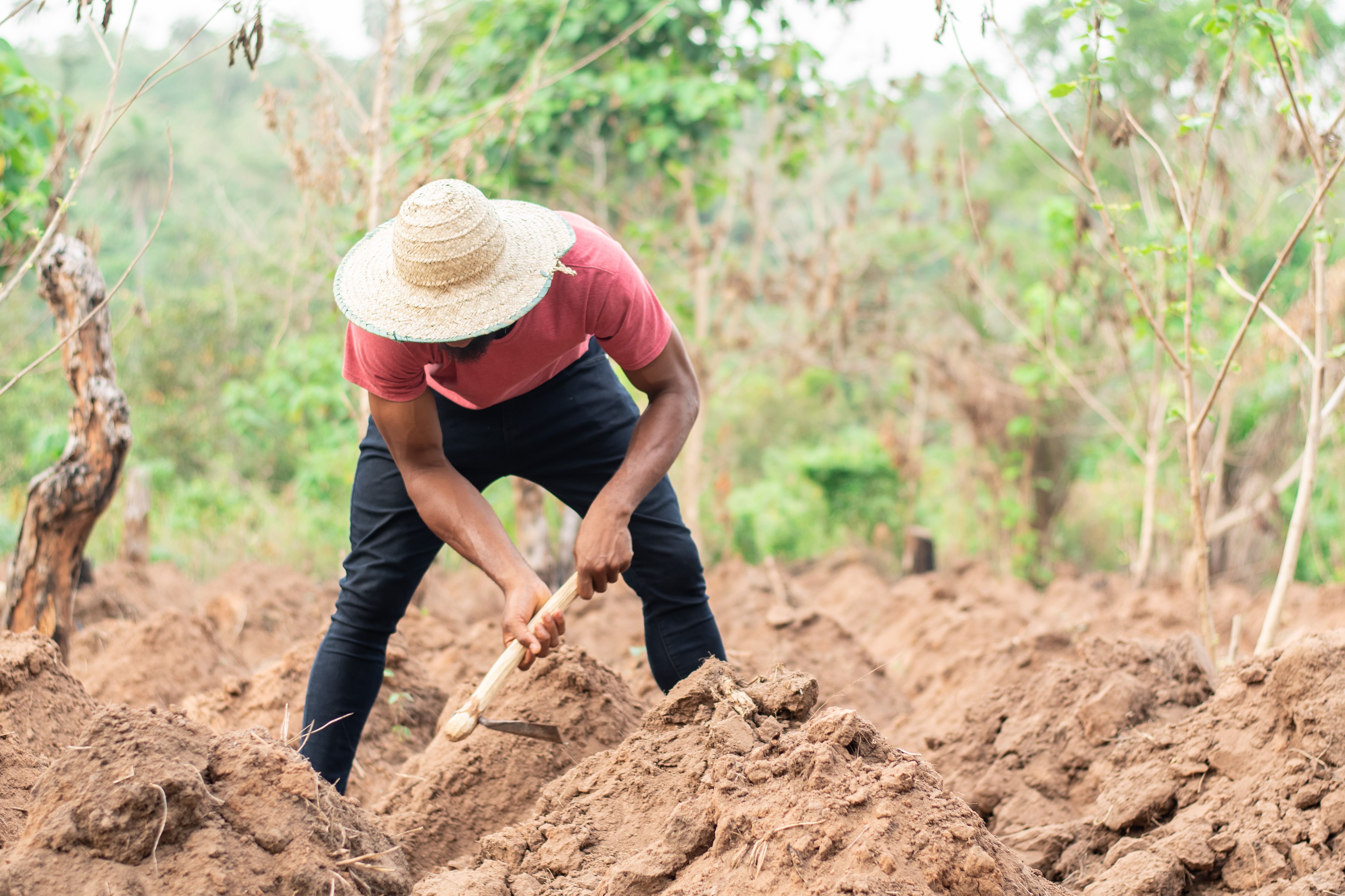 farmer Nigeria