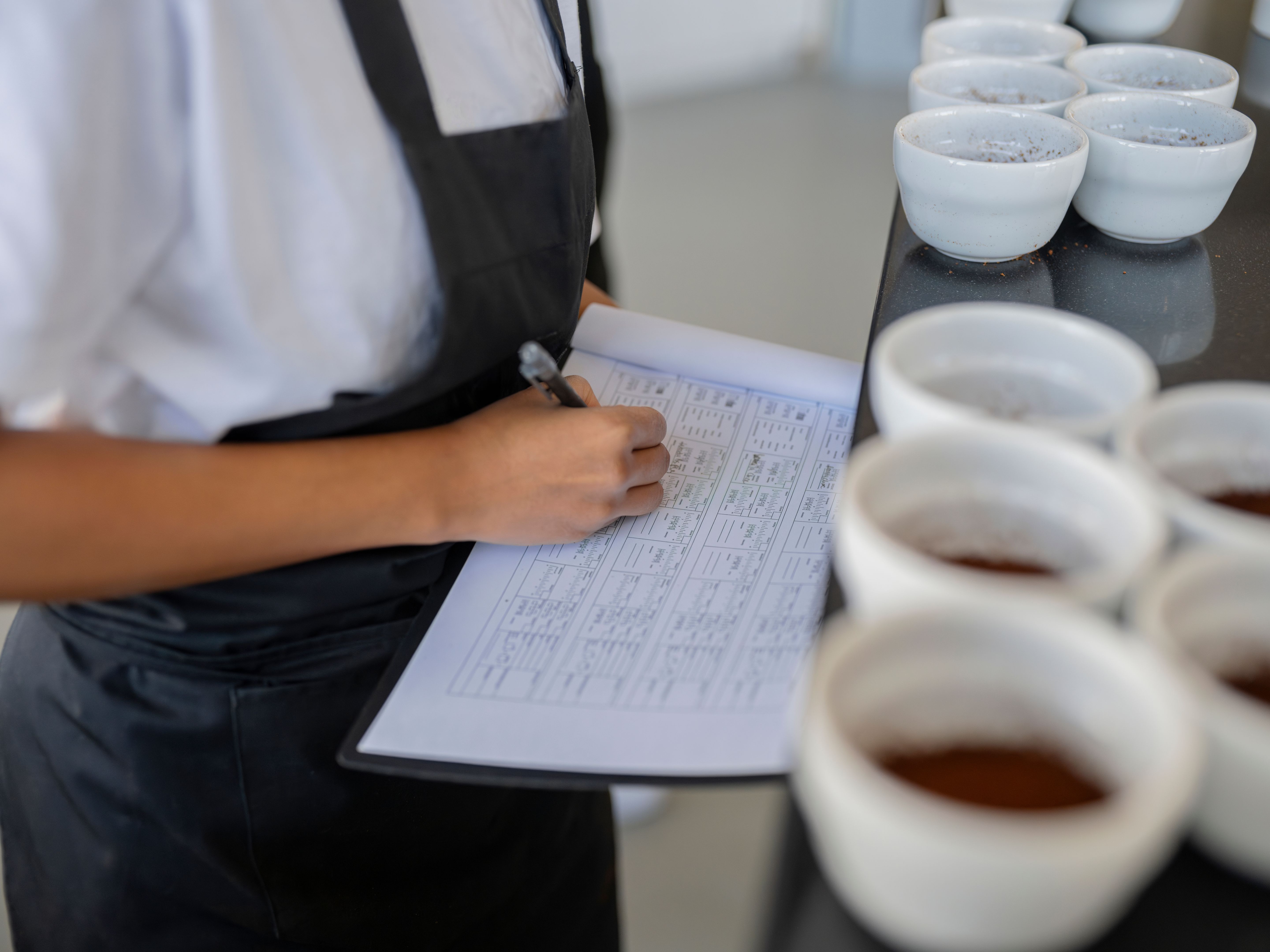 coffee tasting notes