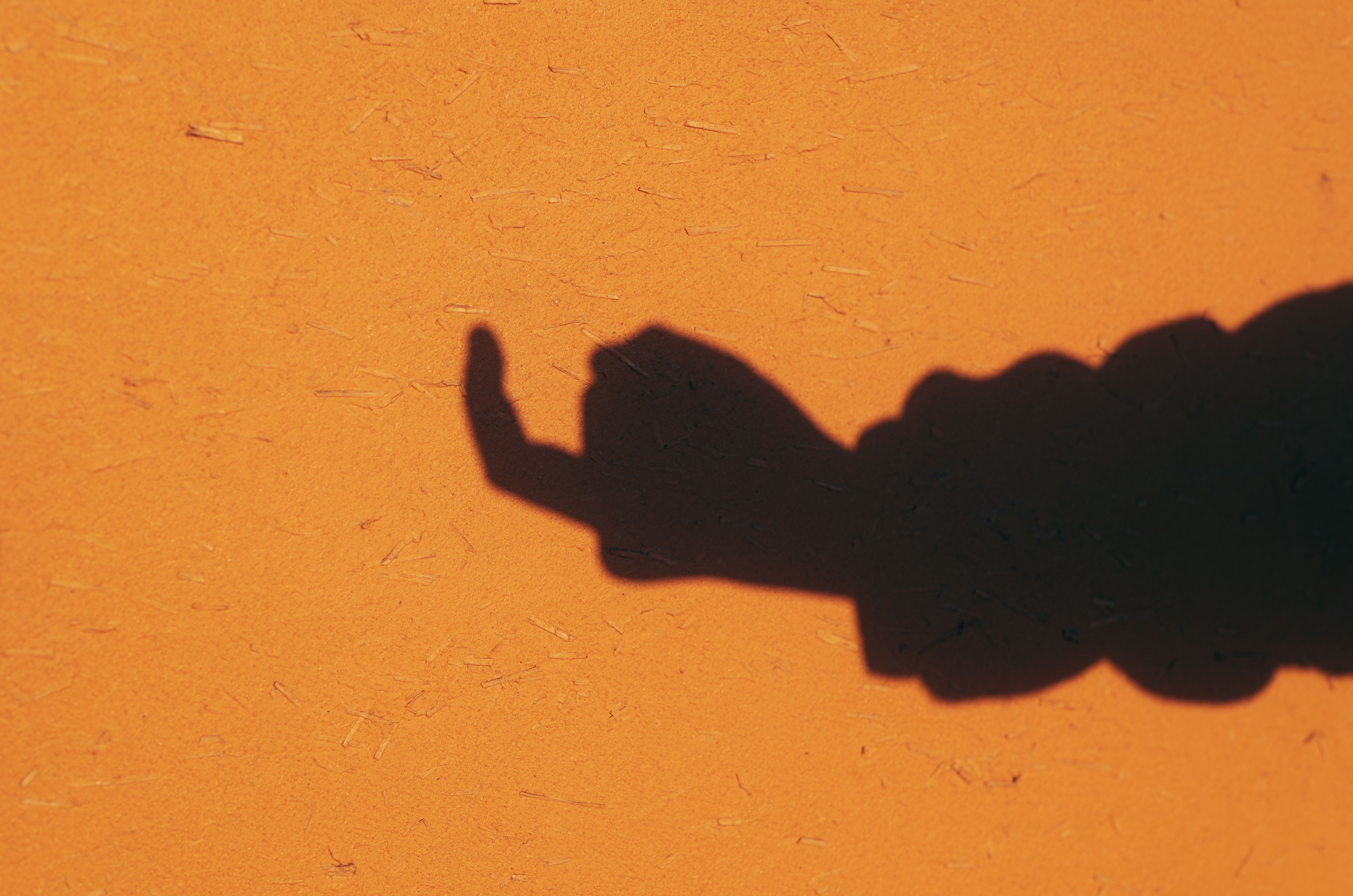 interpreter challenges