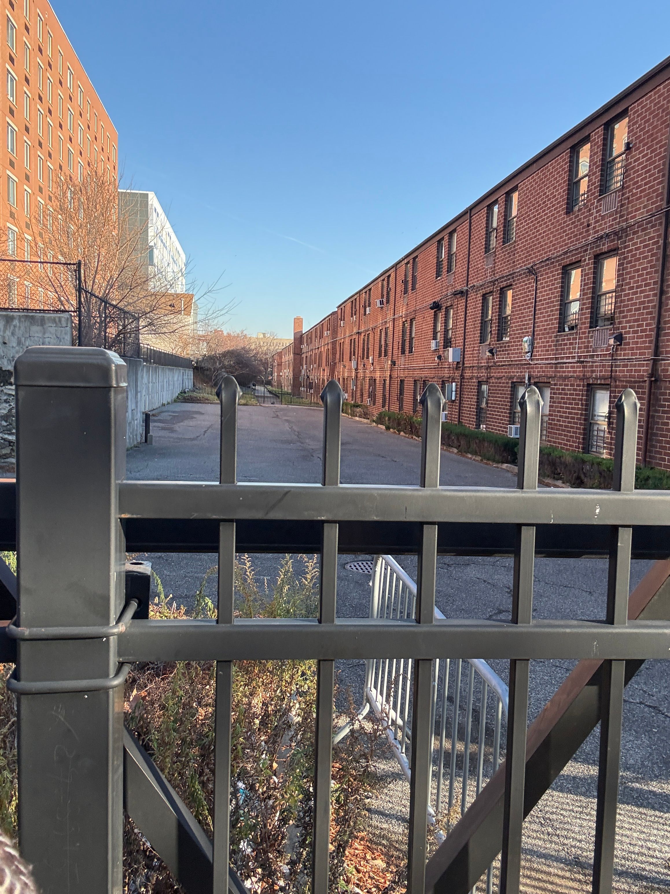 food insecurity Bronx