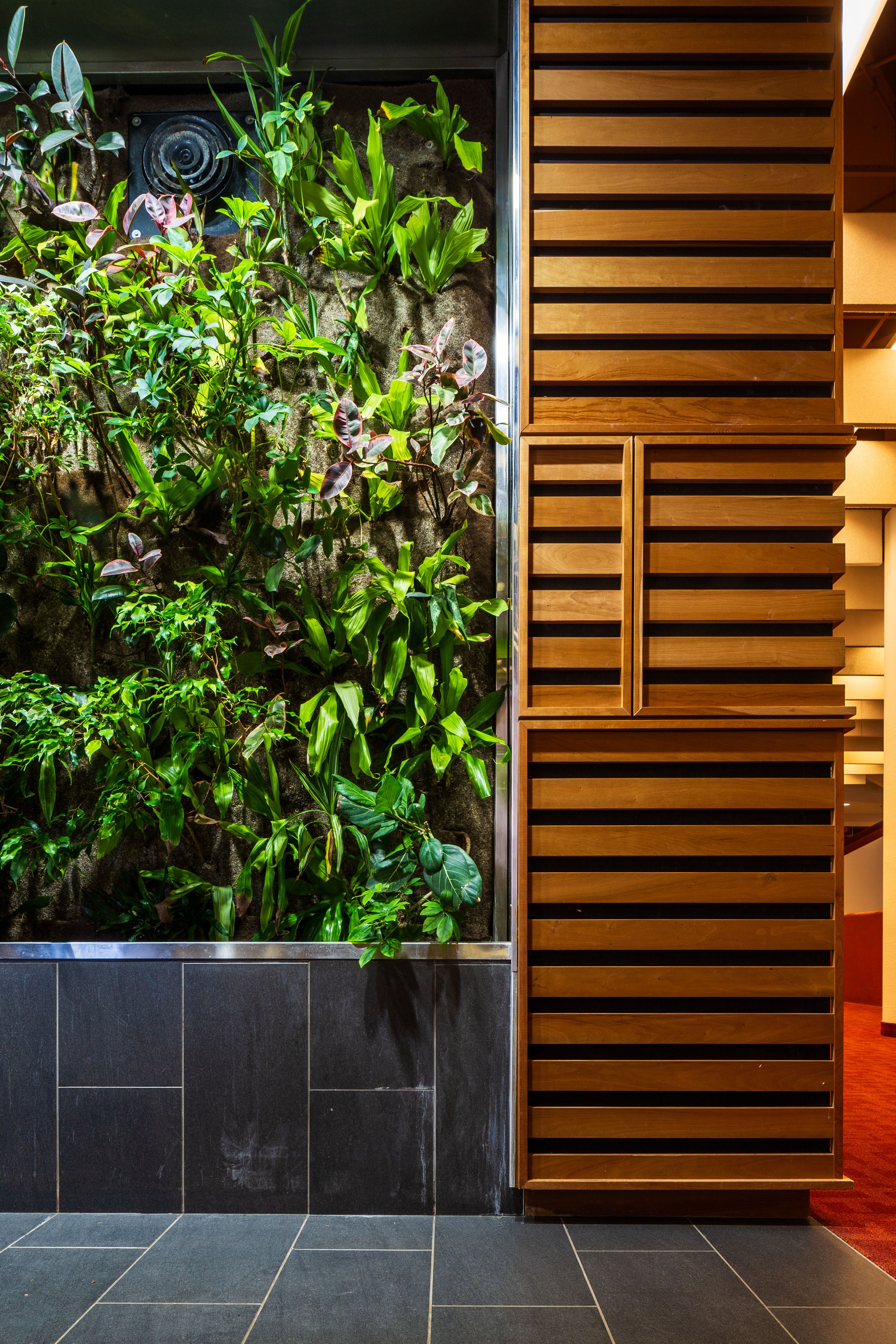 green roofs and walls