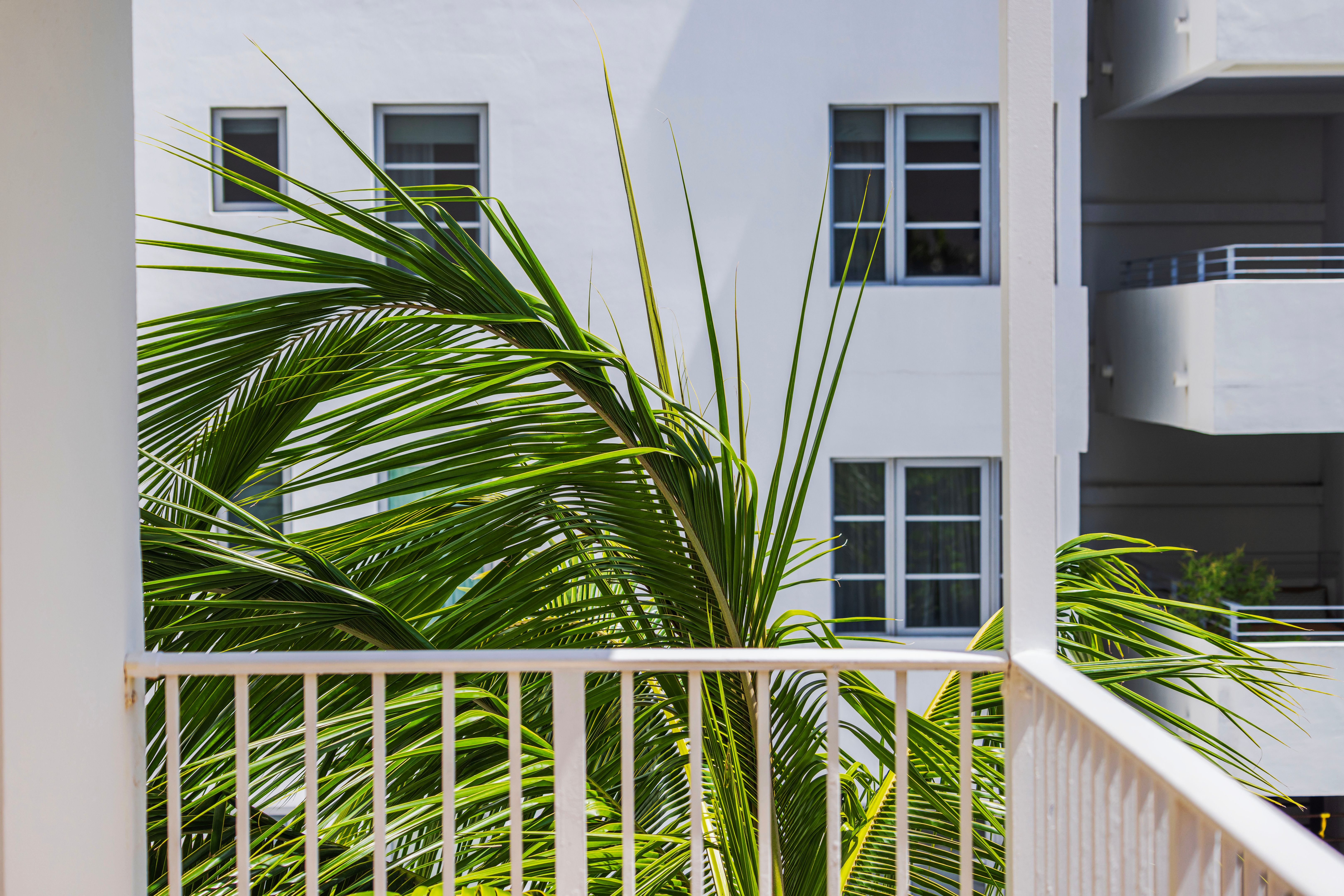 ServiceWiz Miami Handyman photo 5