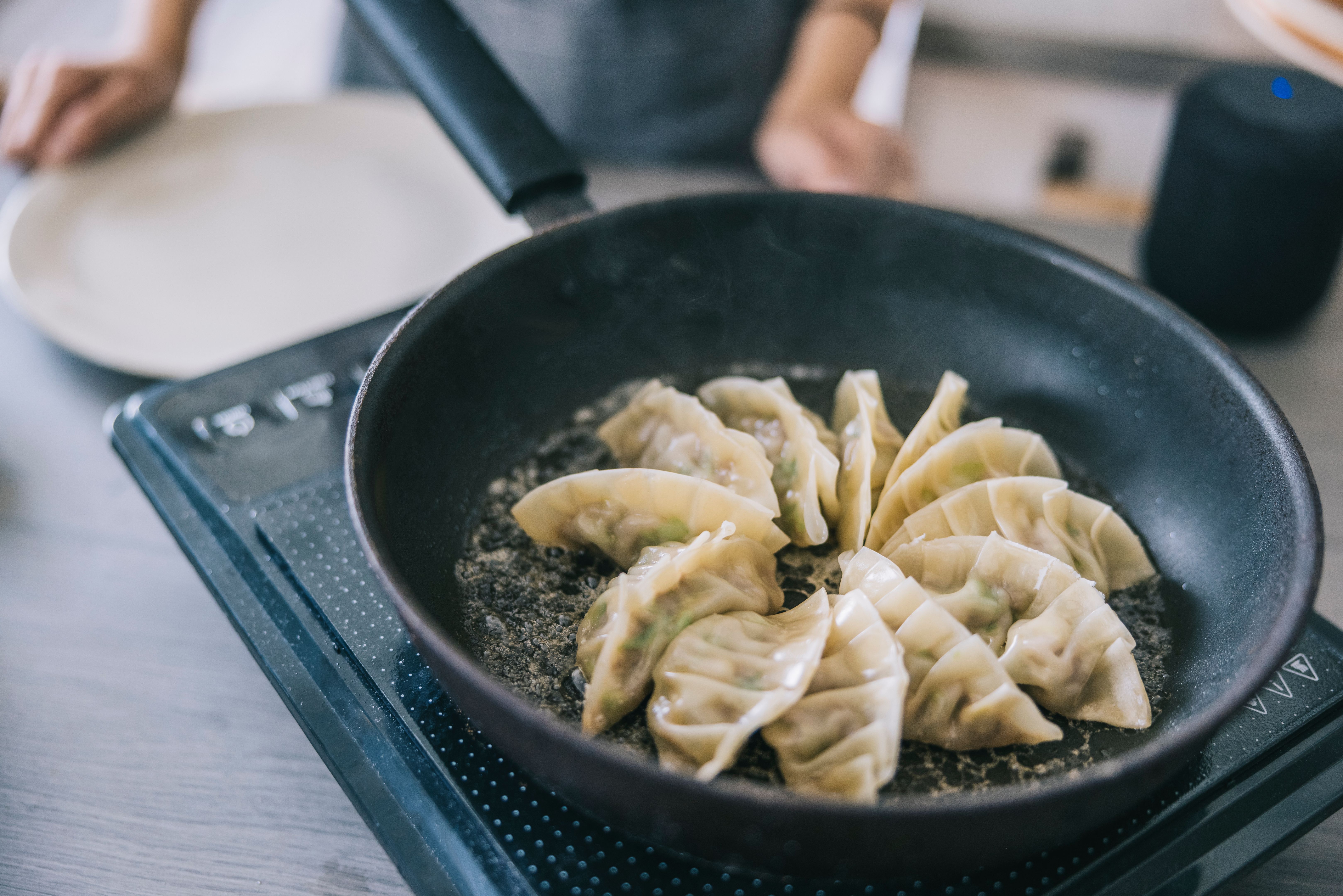 cooking gyoza