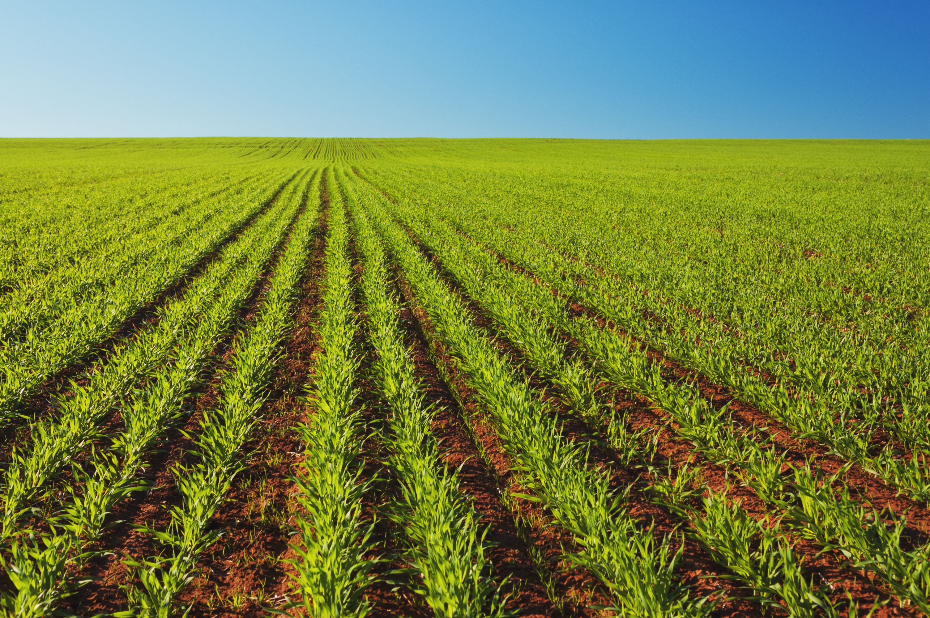 economic benefits farming