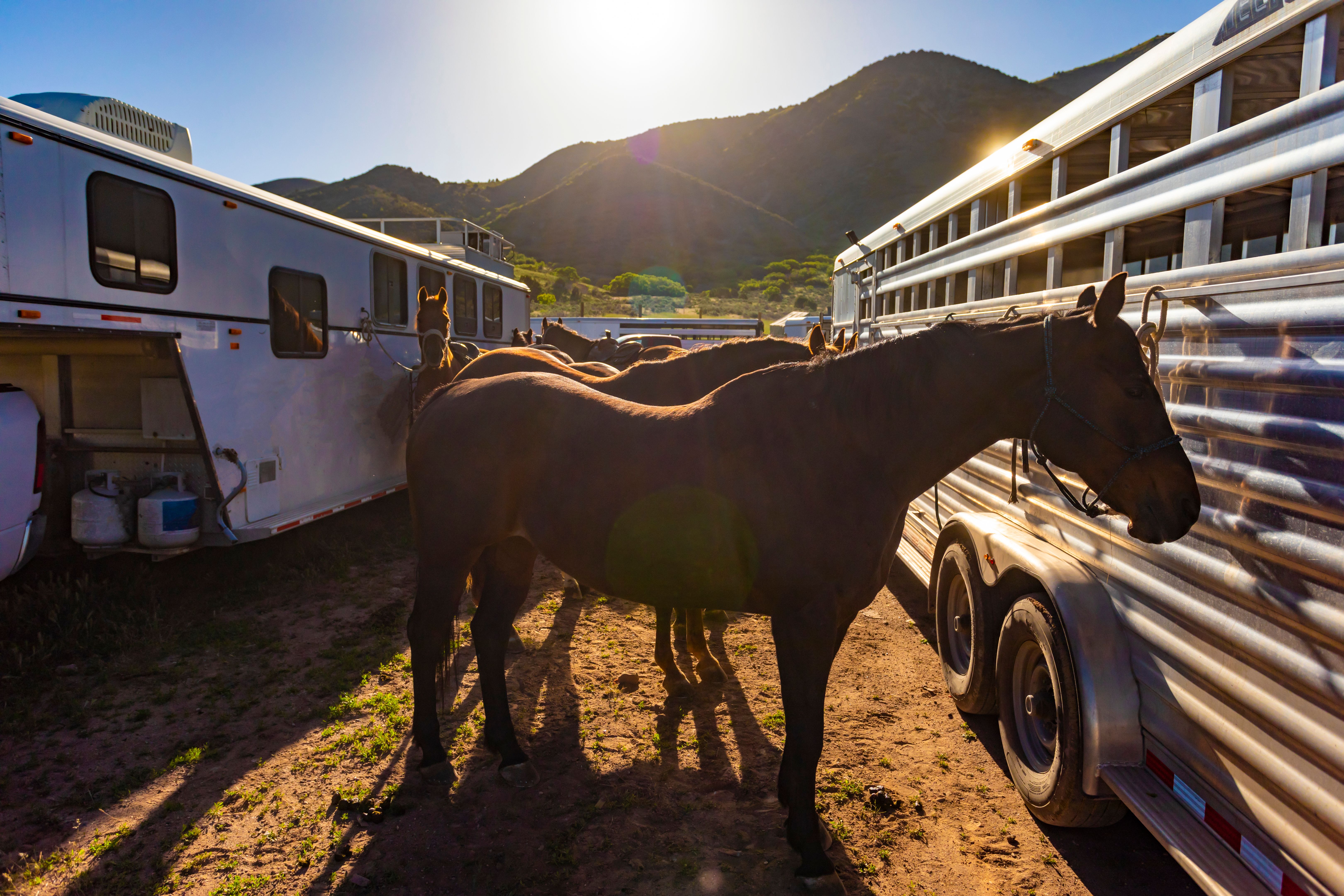 Snowbird horse owners camping in Arizona — horses tied to a trailer beside a fifth-wheel RV near Cave Creek, part of Phoenix’s winter ranch lifestyle. Snowbird horse owners camping in Arizona — horses tied to a trailer beside a fifth-wheel RV near Cave Creek, part of Phoenix’s winter ranch lifestyle.