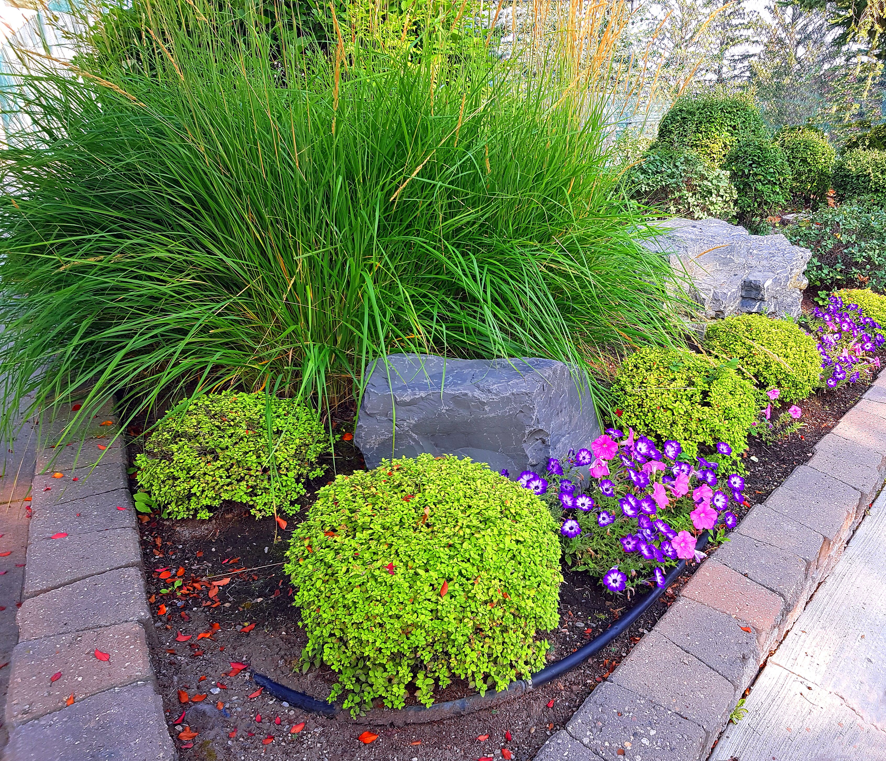 curb appeal garden