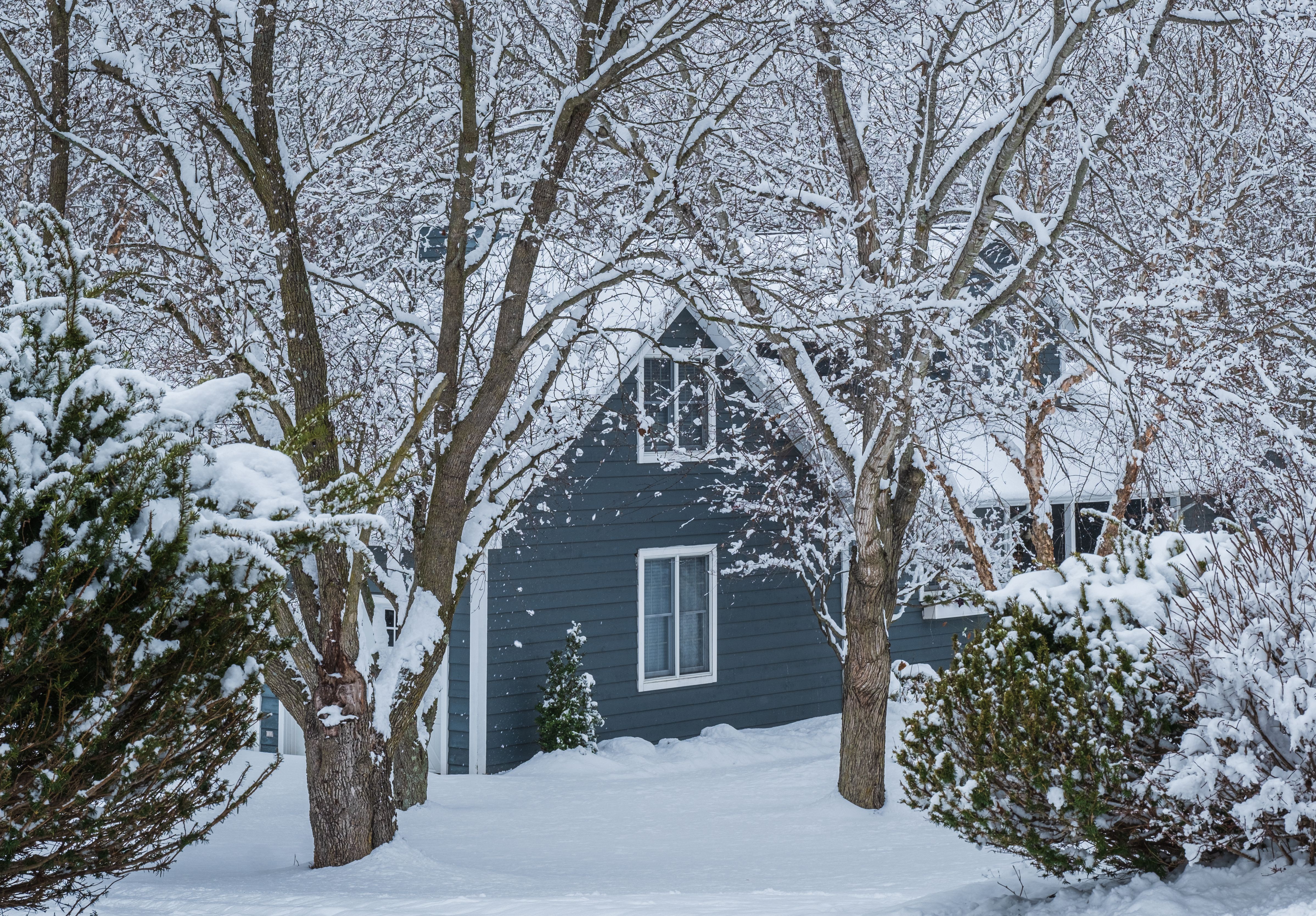 snow covered houses