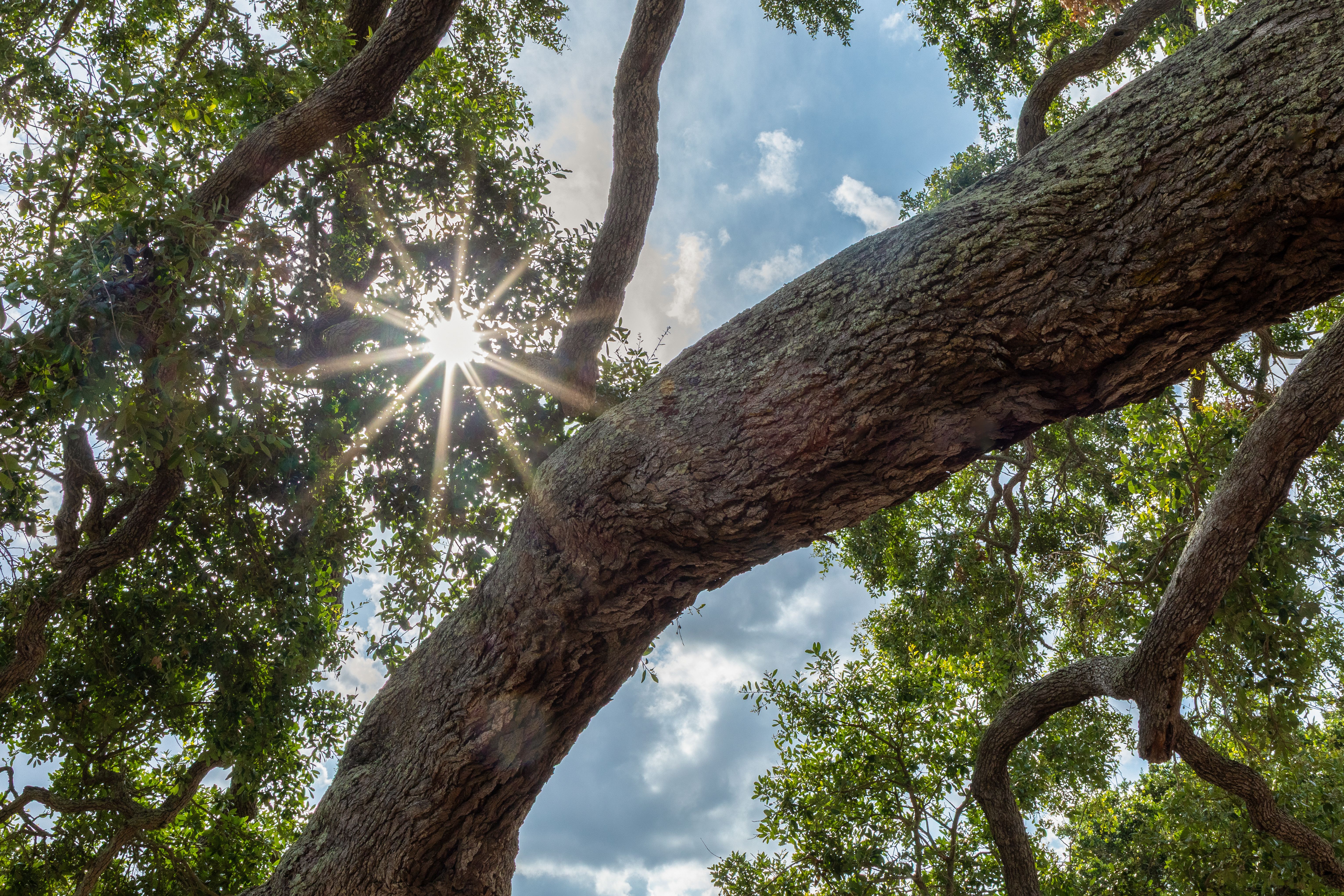 georgia nature trail