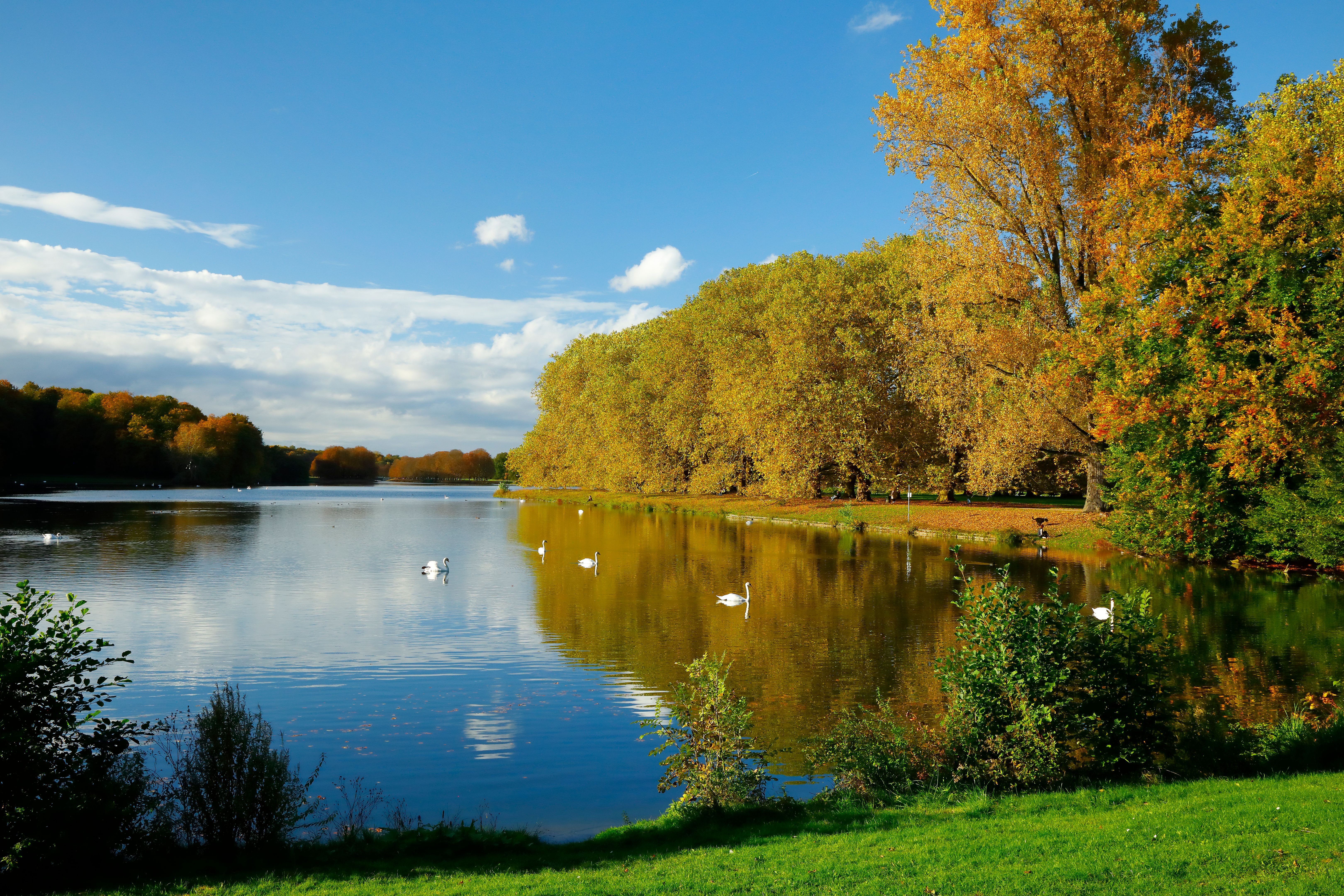 autumn leaves cologne