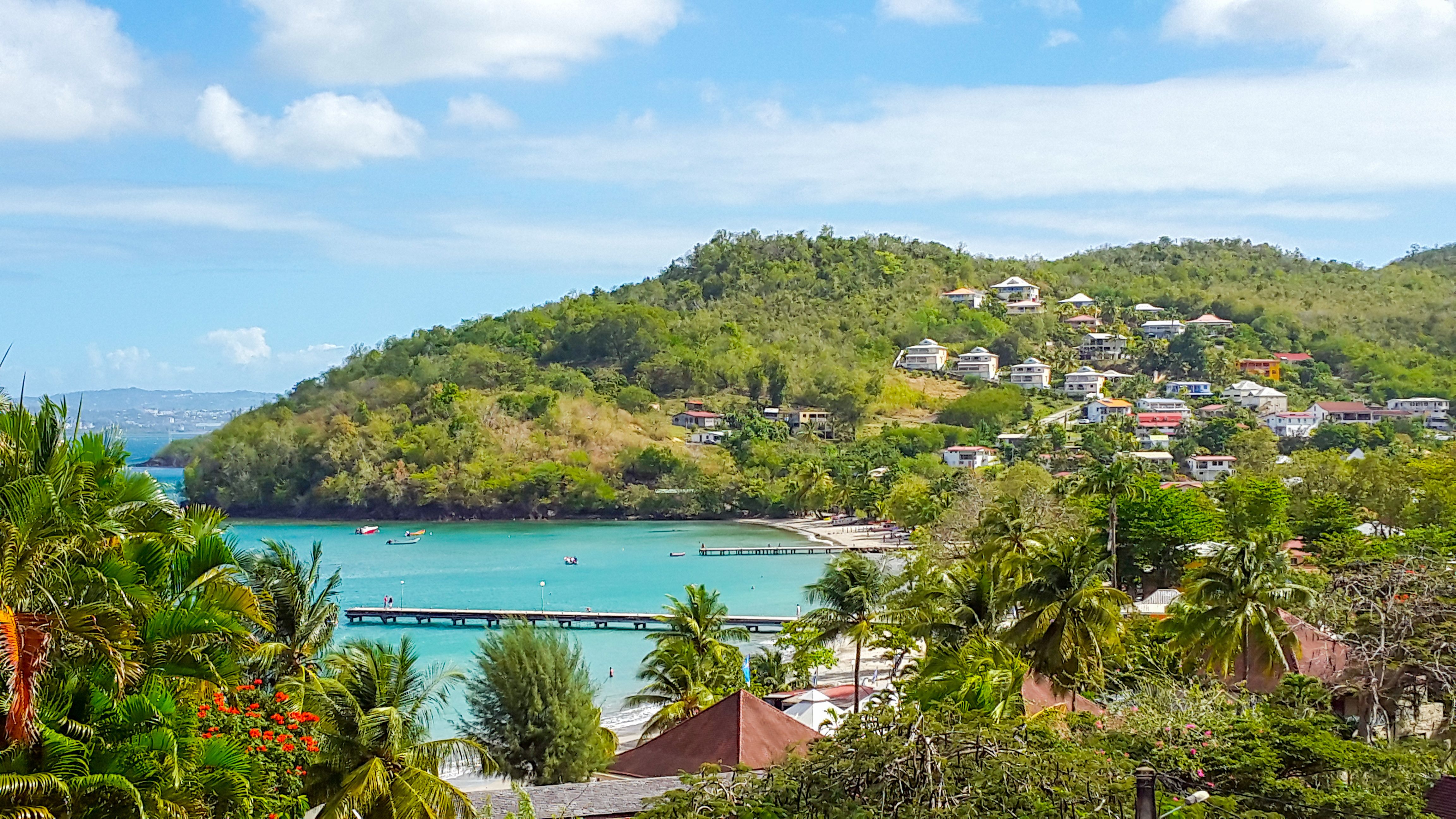 Anse at The Beach Donkey, Martinique.