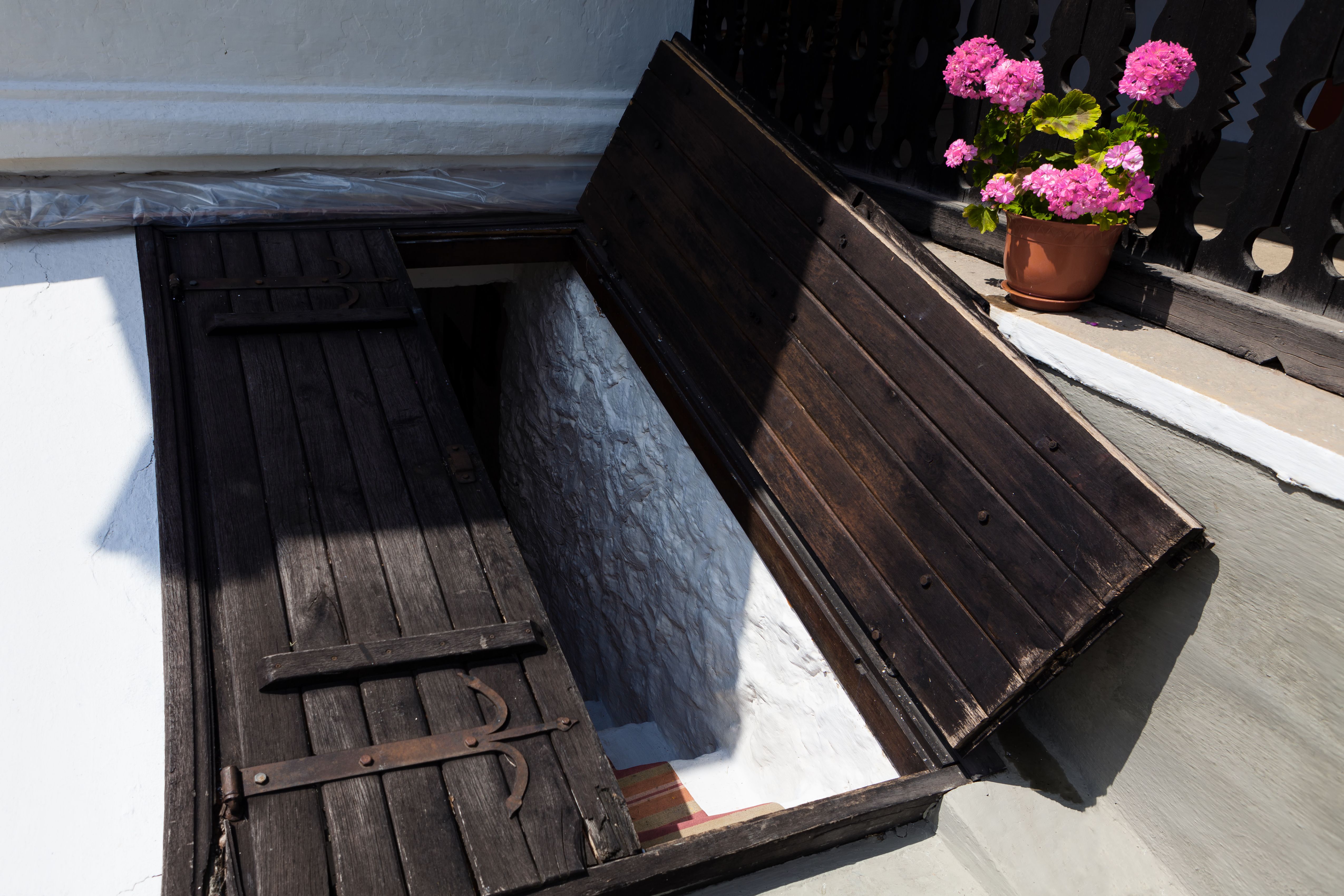 garden cellar