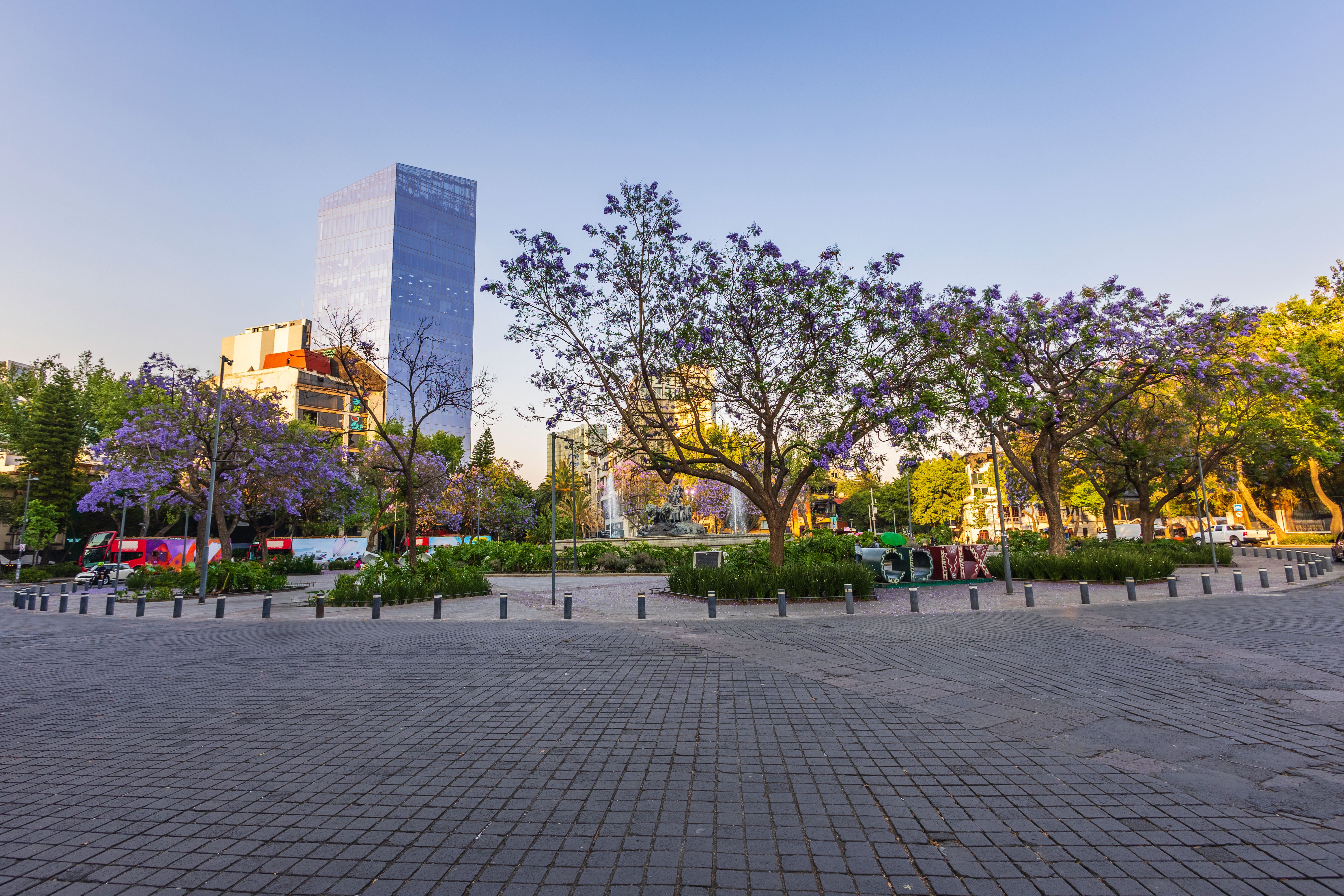 roma norte architecture