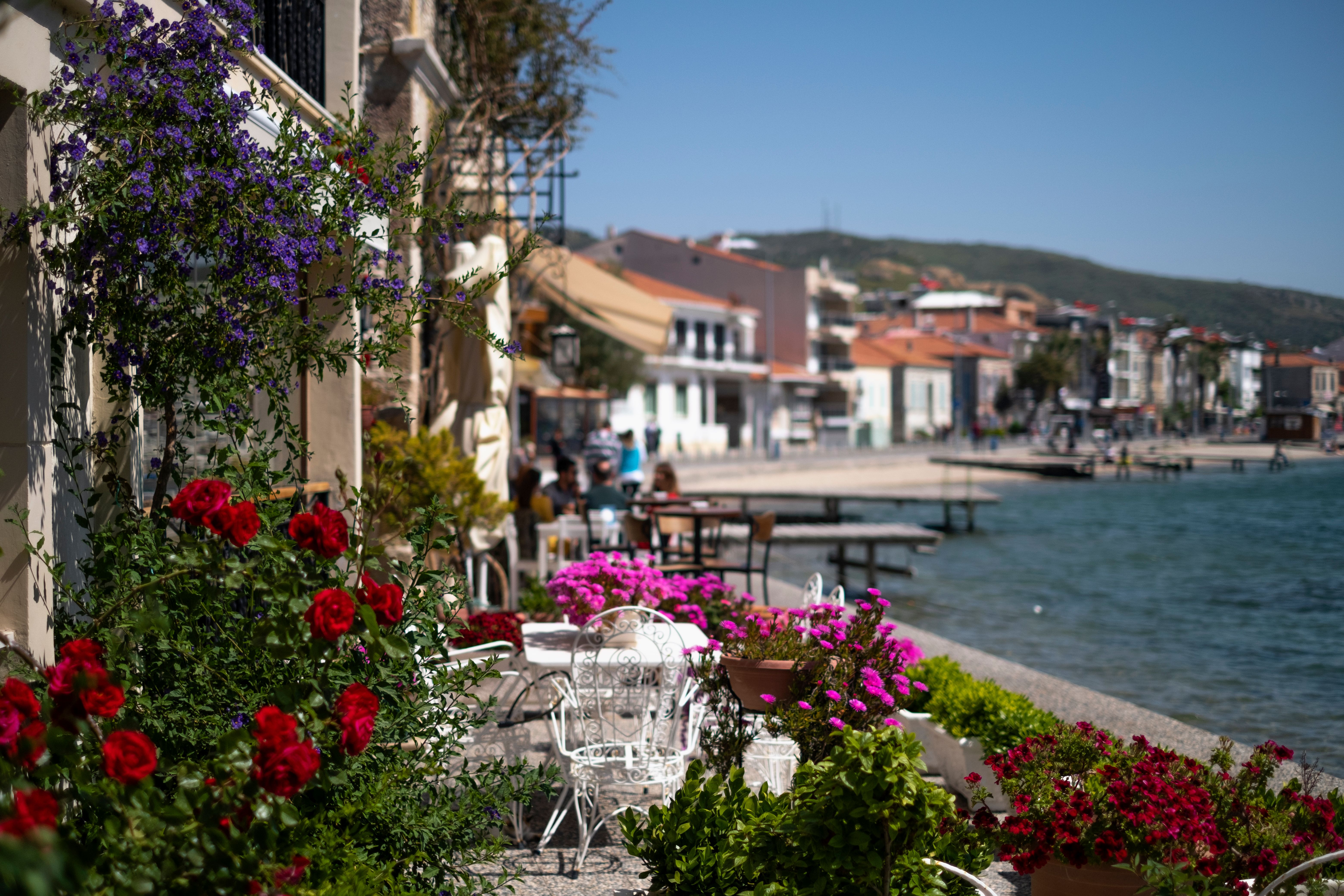 Colorful Cafe Garden in Foca, Izmir-Turkey