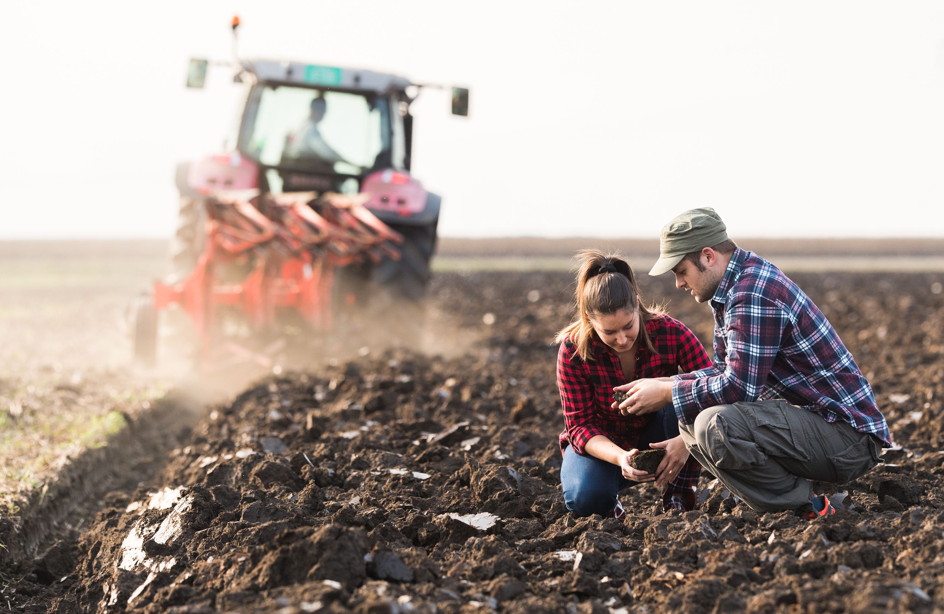 farmer inspecting