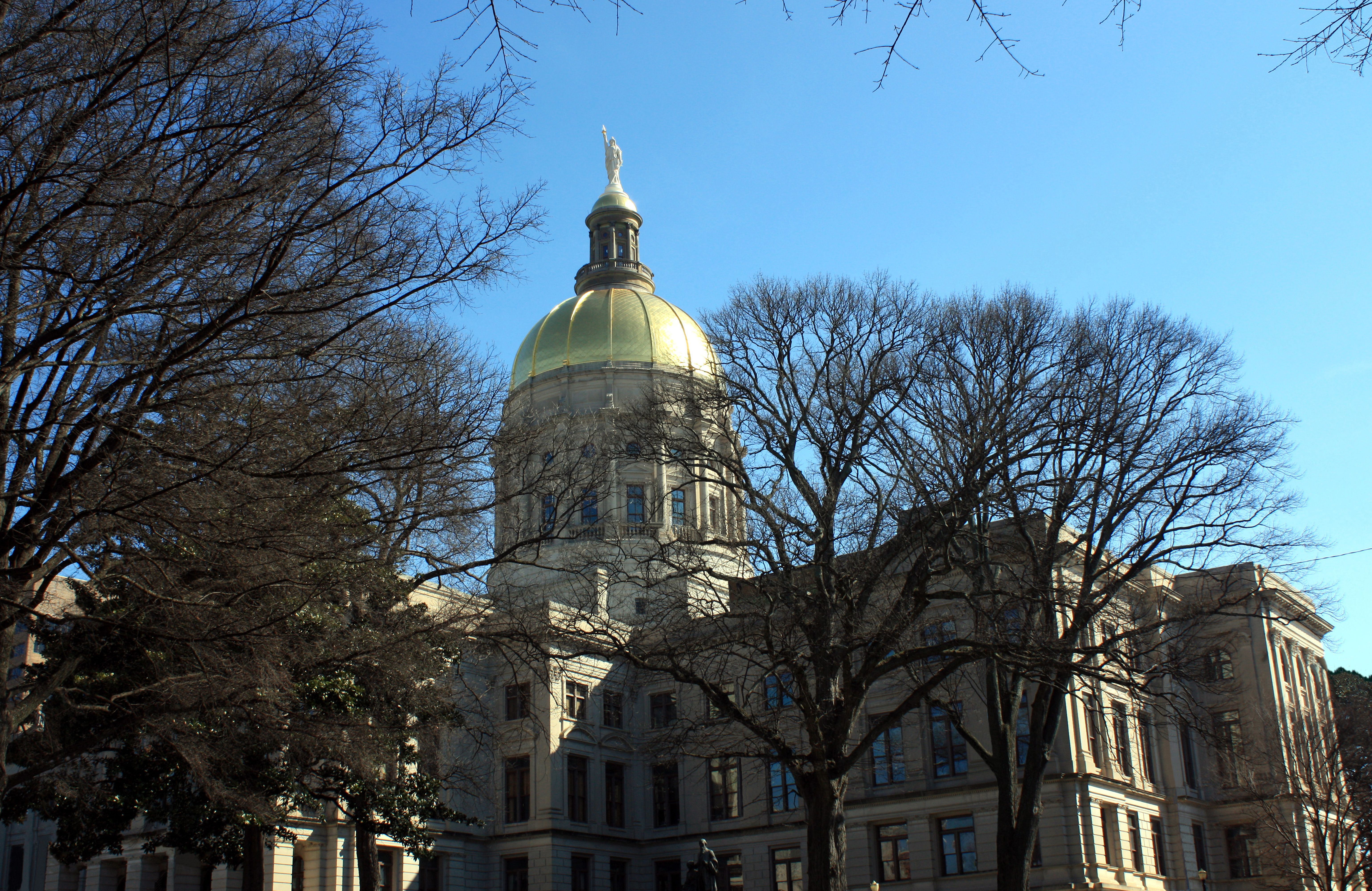Atlanta Capitol Dome - Winter Tree Branches