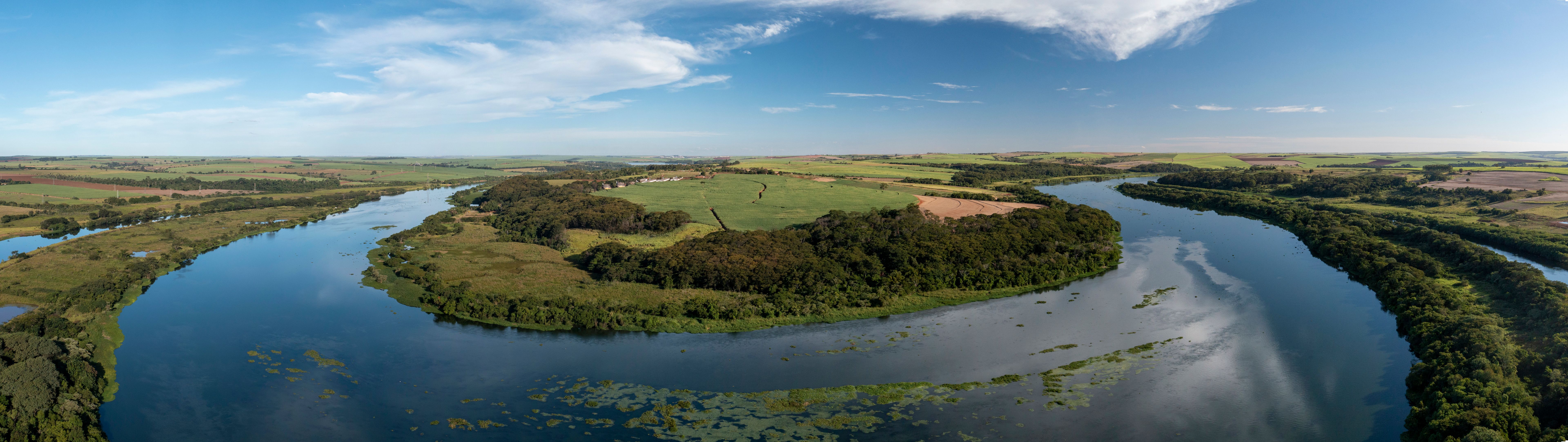 forrageira manutenção