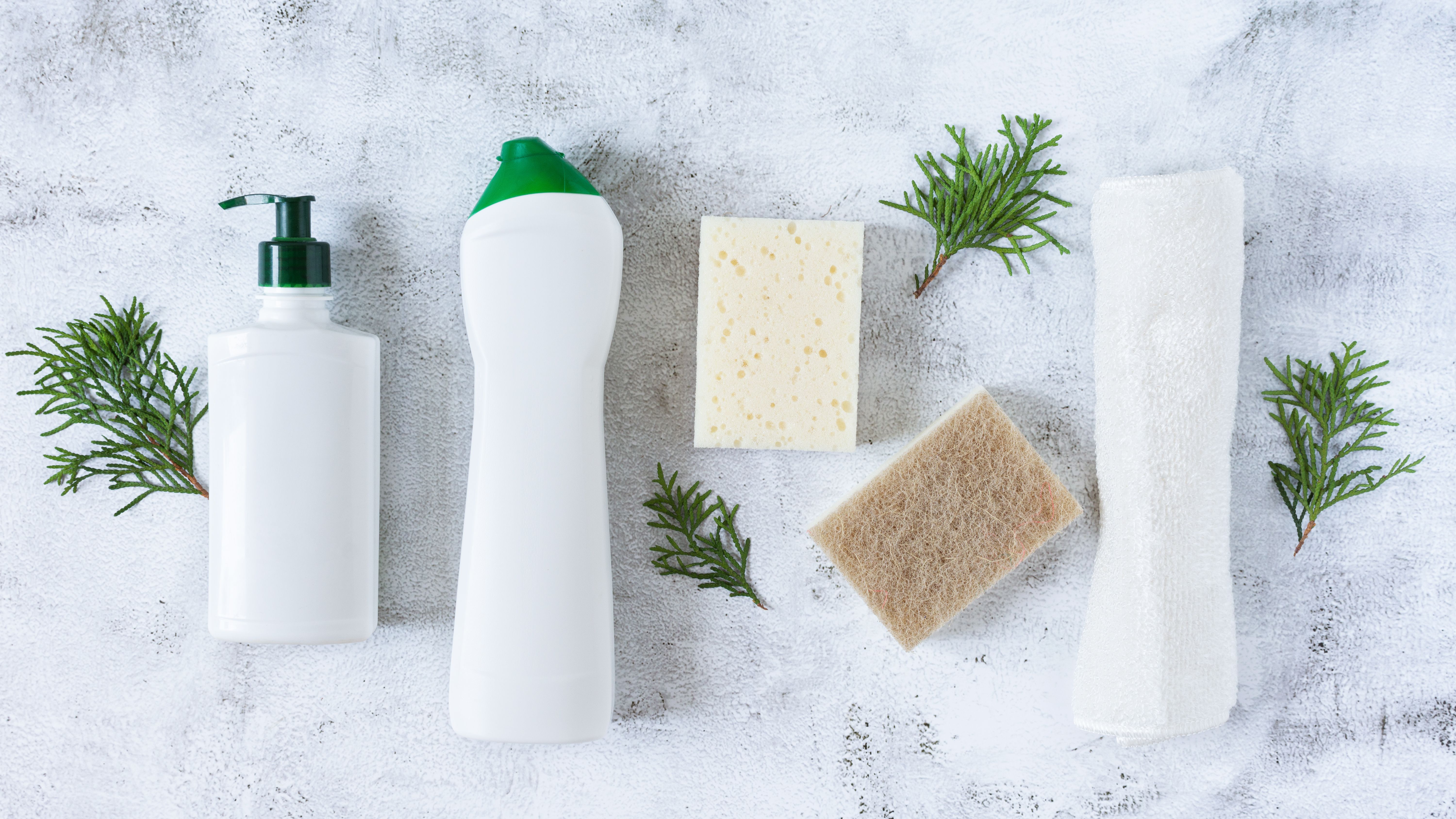 biodegradable cleaning products