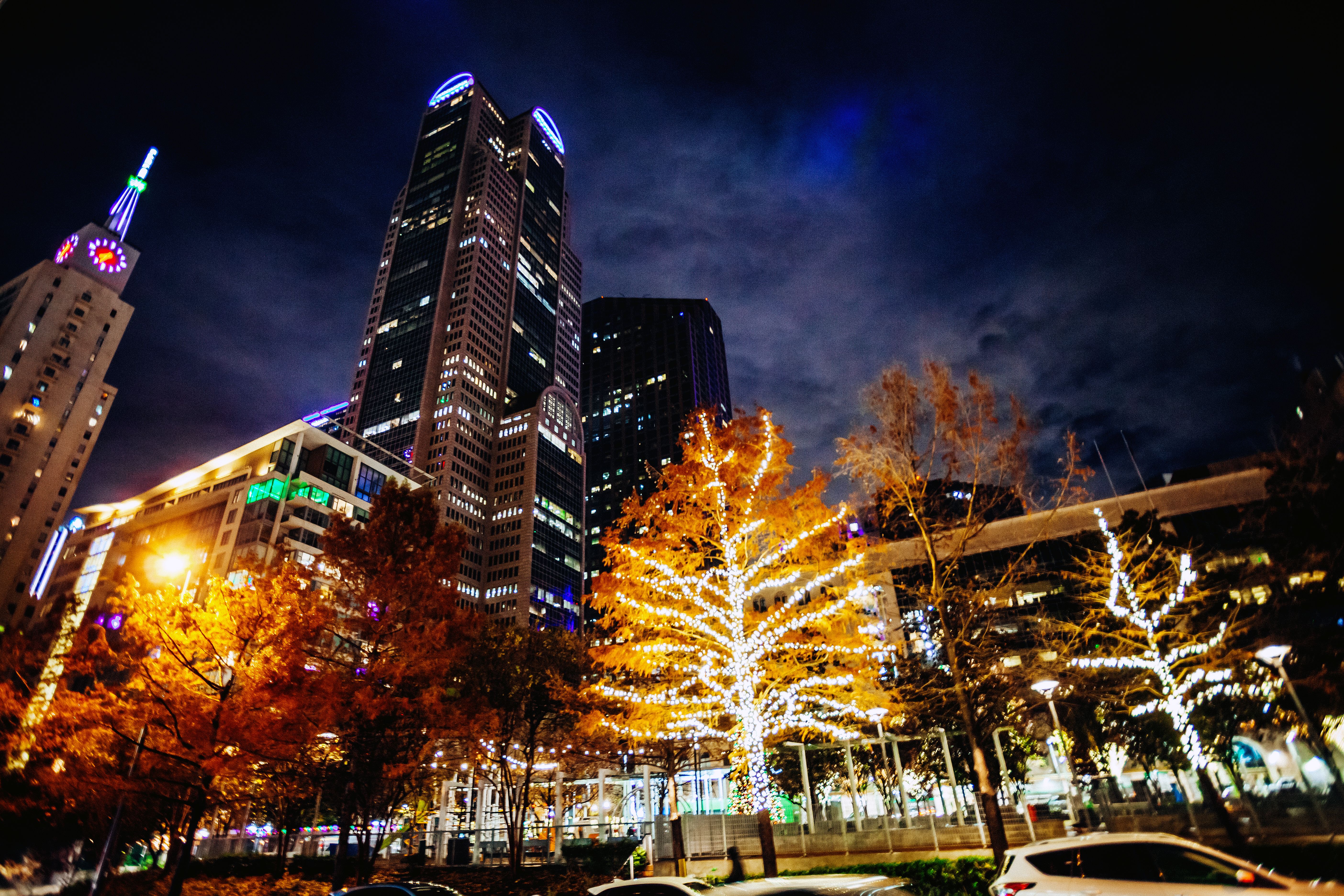 dallas holiday lights