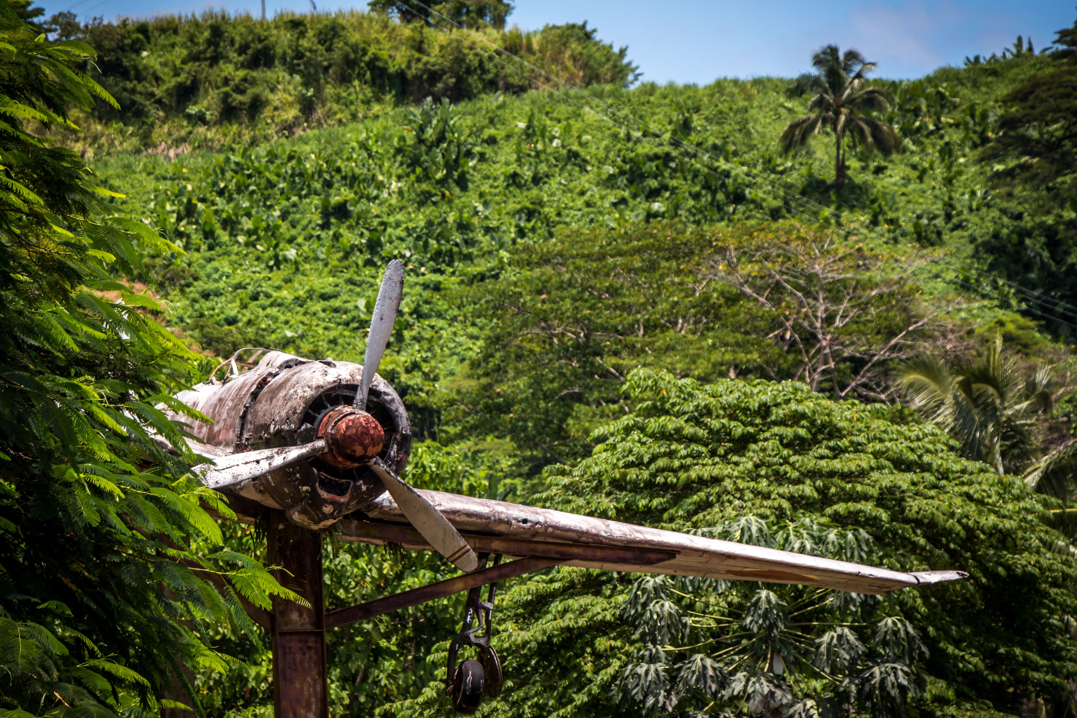 A World War II Airplane  in Papua New Guinea