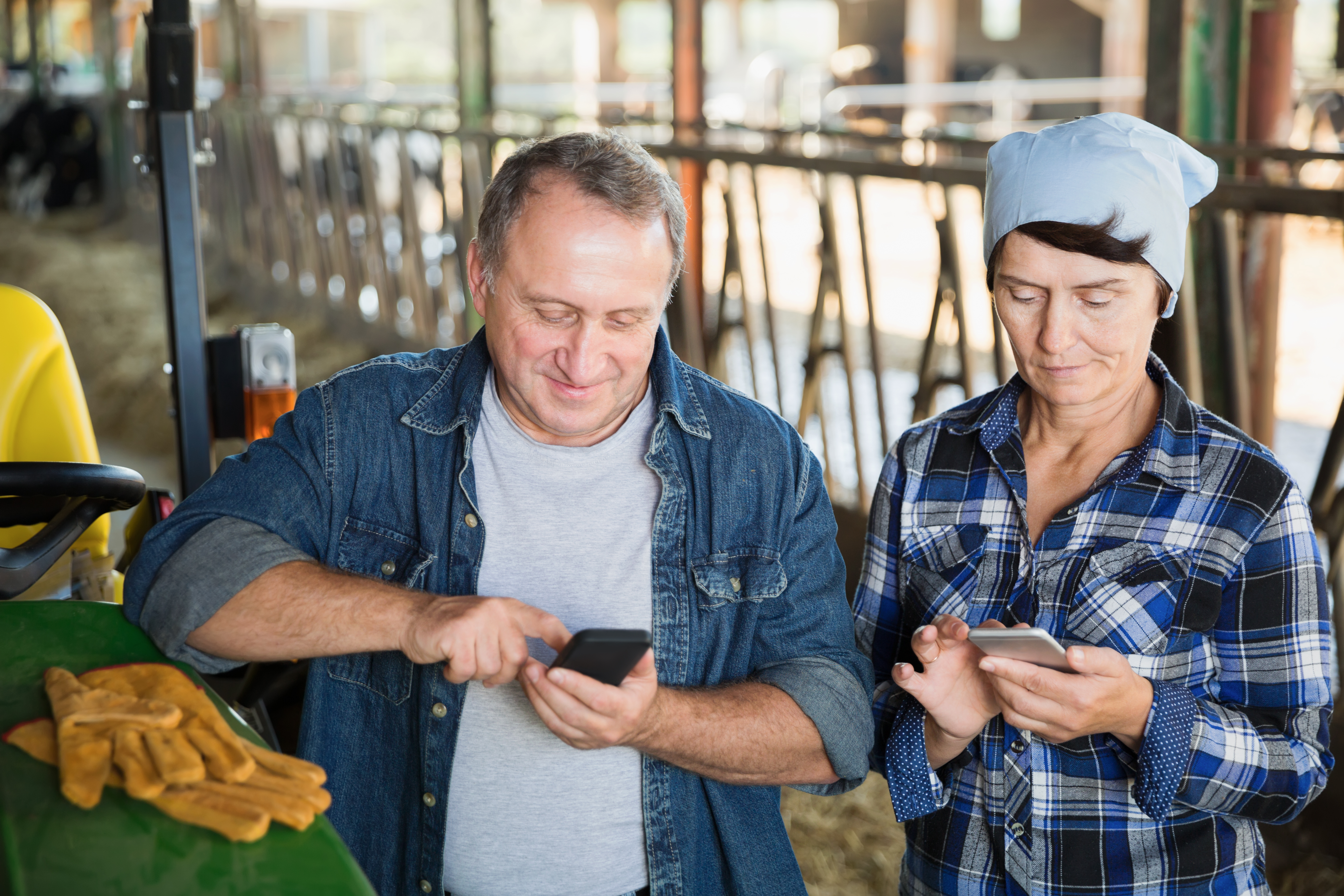 Senior man and female farmers using phones on farm