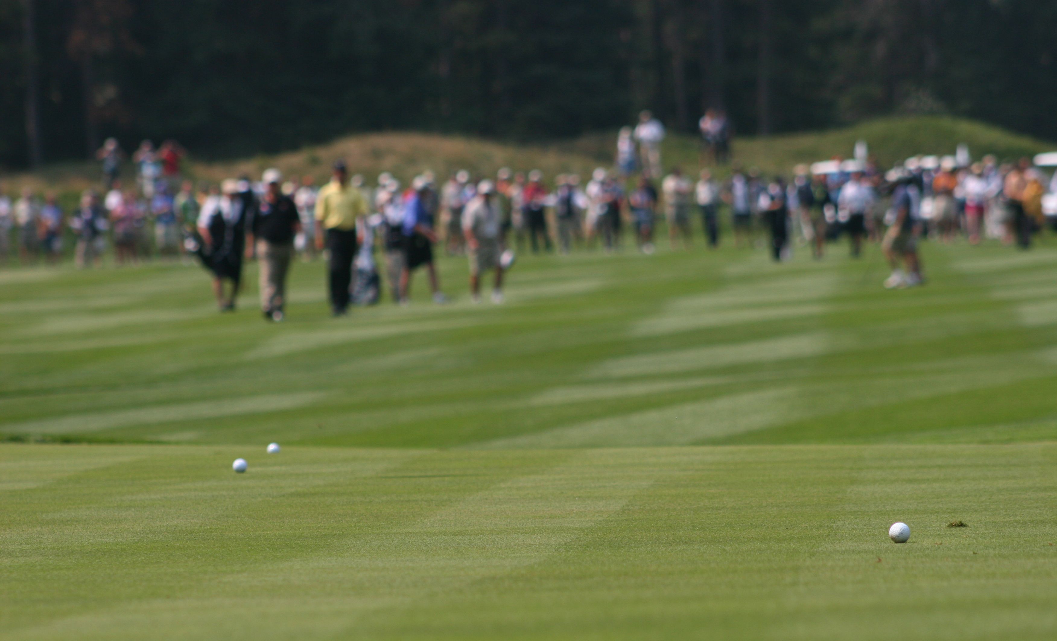 golf course competition