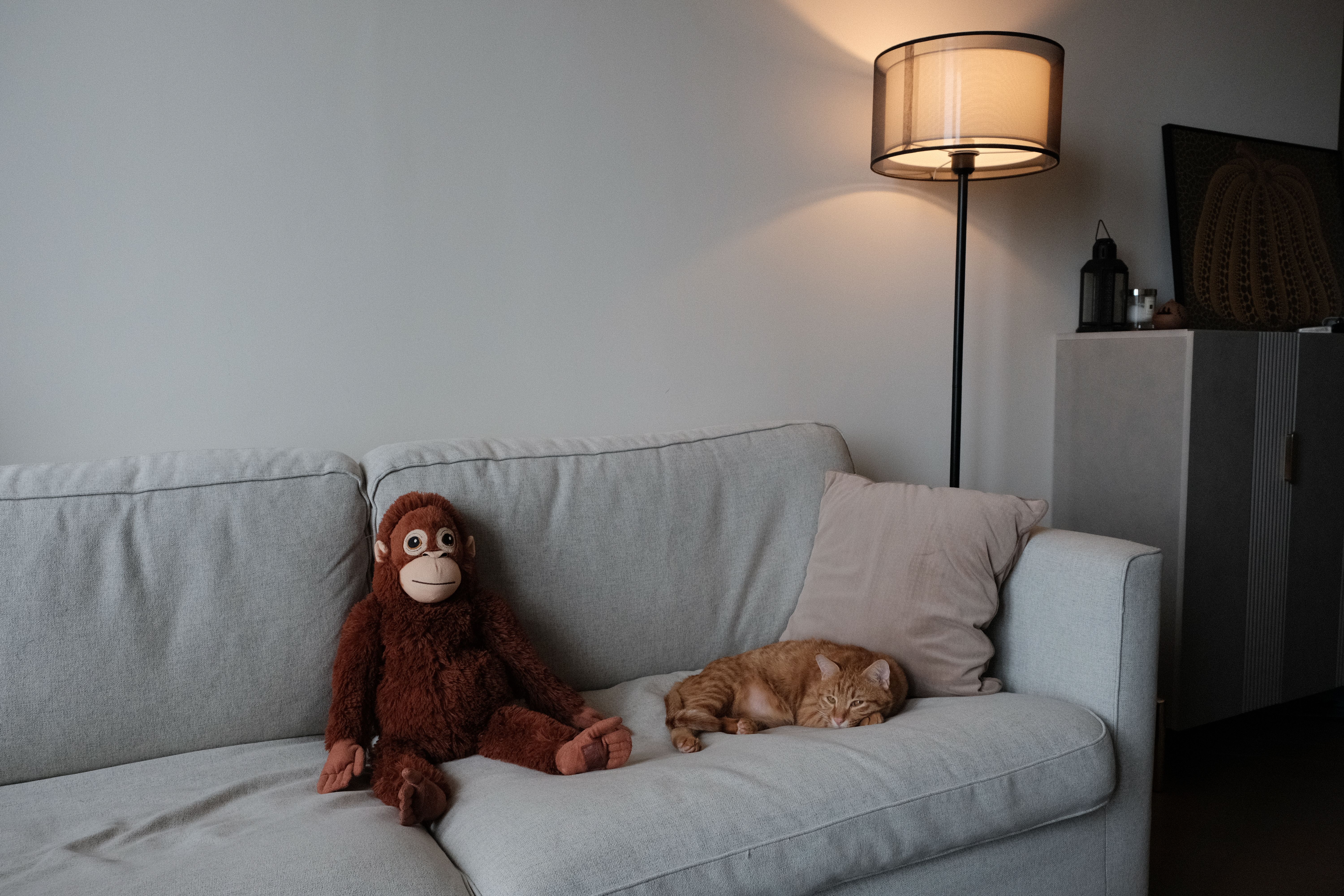 hong kong healthcare