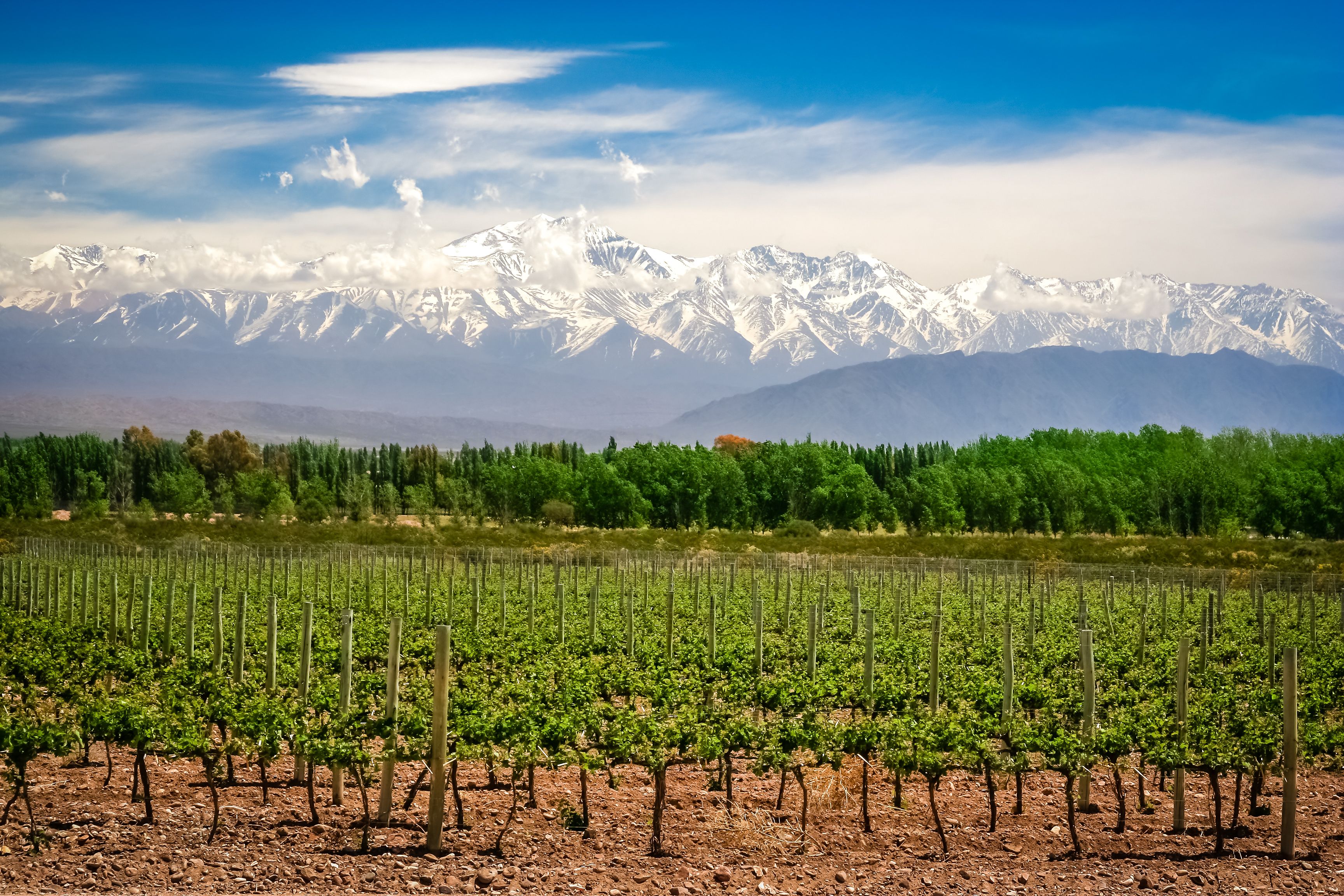 mendoza andes