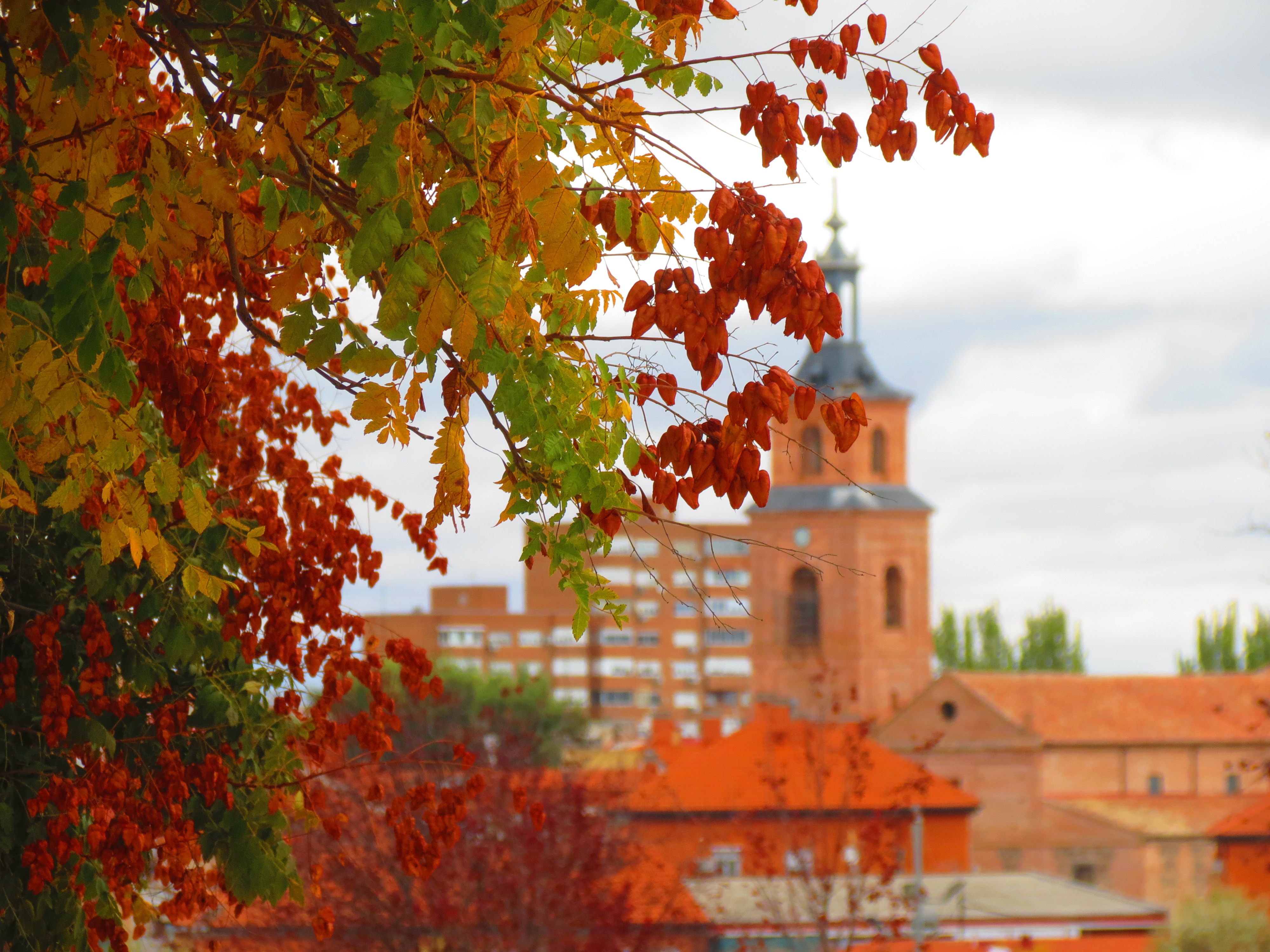 madrid autumn