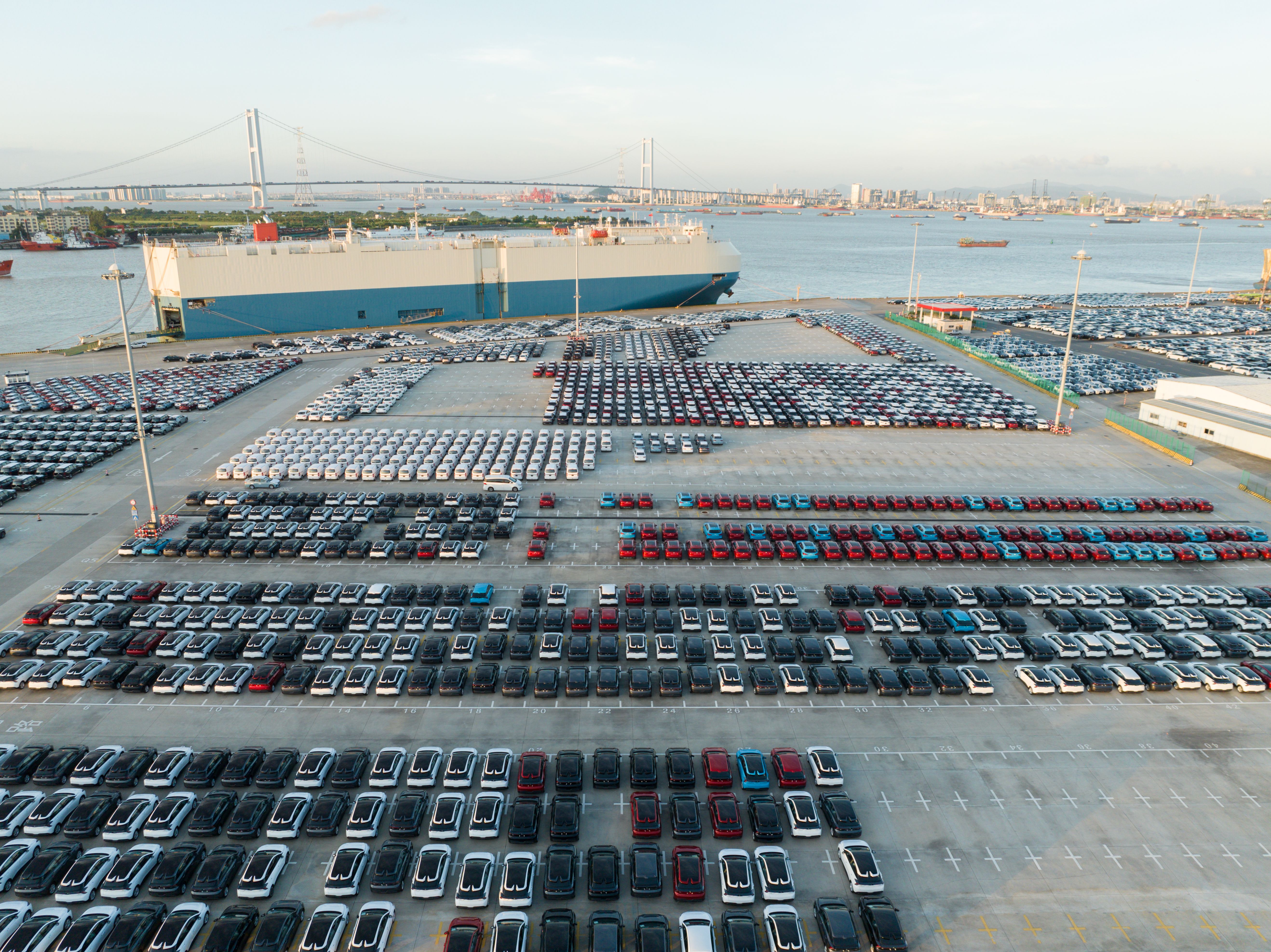 car shipping options