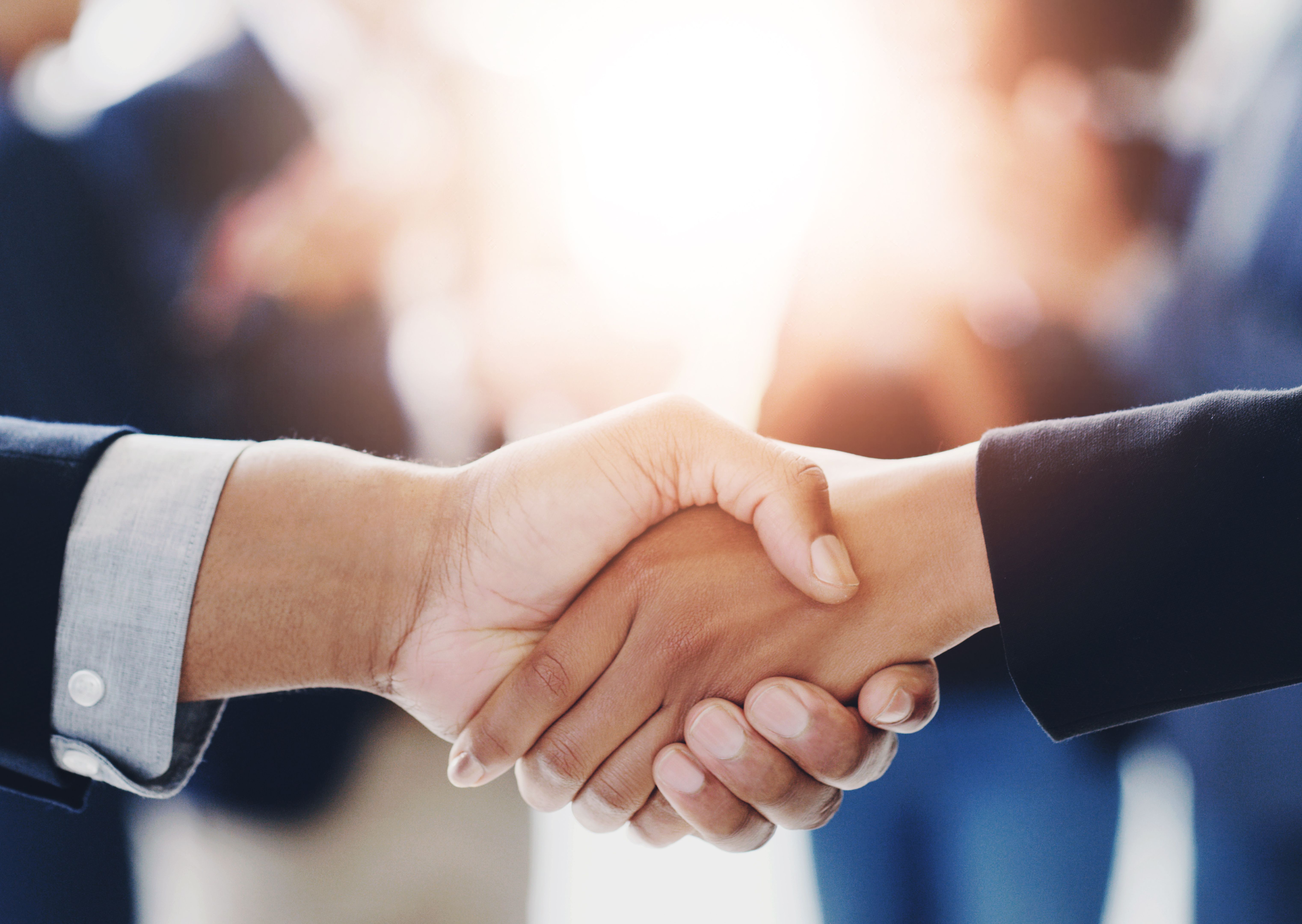 Business, people and handshake for deal in office with partnership, agreement and introduction of negotiation. Corporate, employees and meeting, b2b support and opportunity for networking success