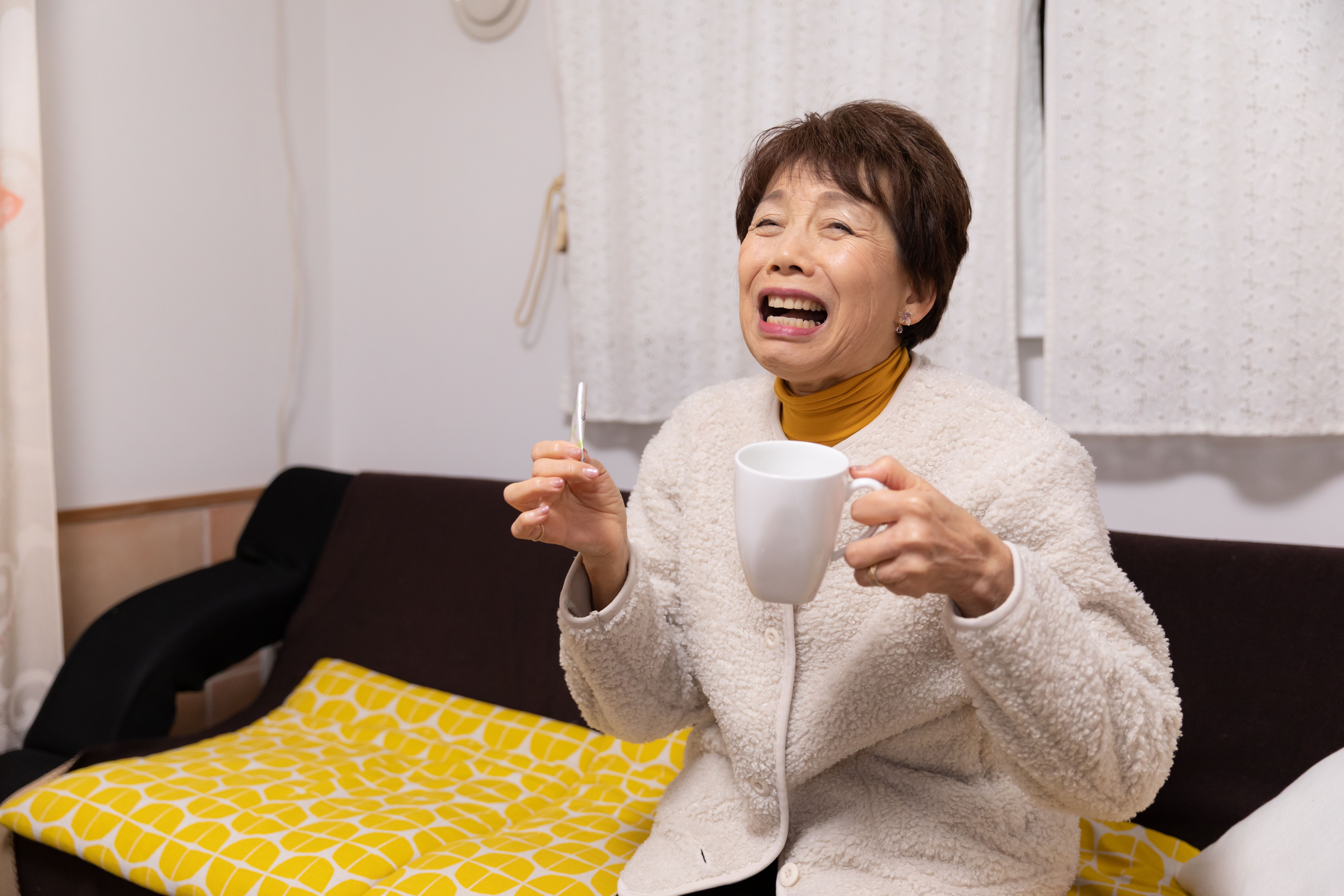 pellet heating system