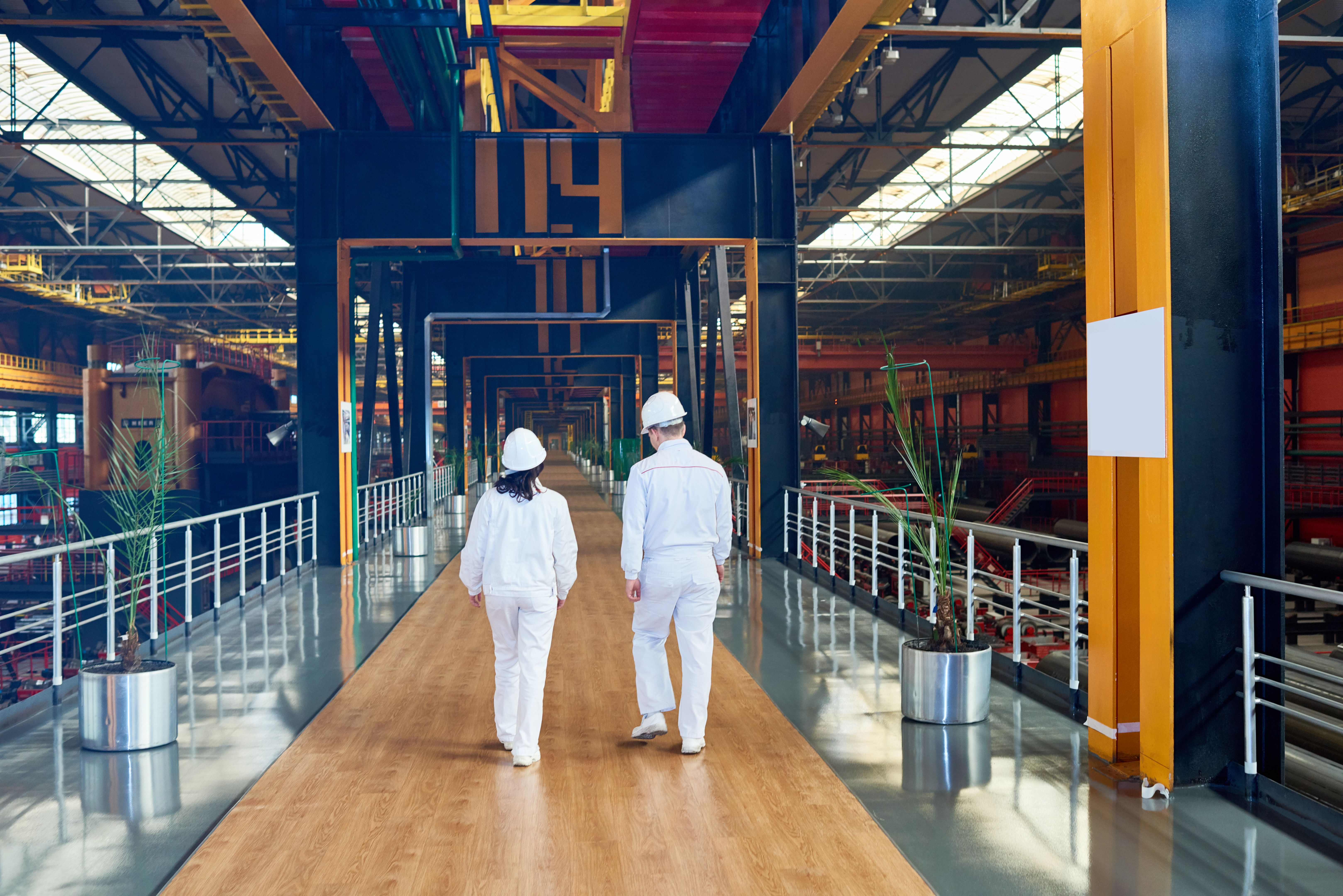 bioremediation process